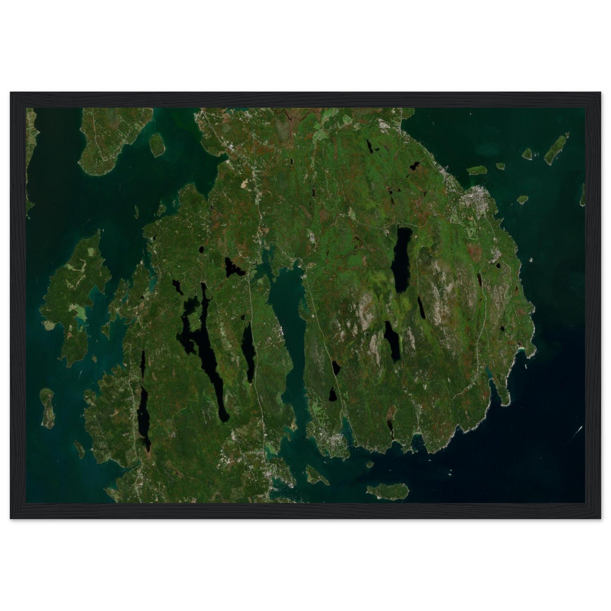 Acadia National Park Natural Earth Print - Ink And Atlas