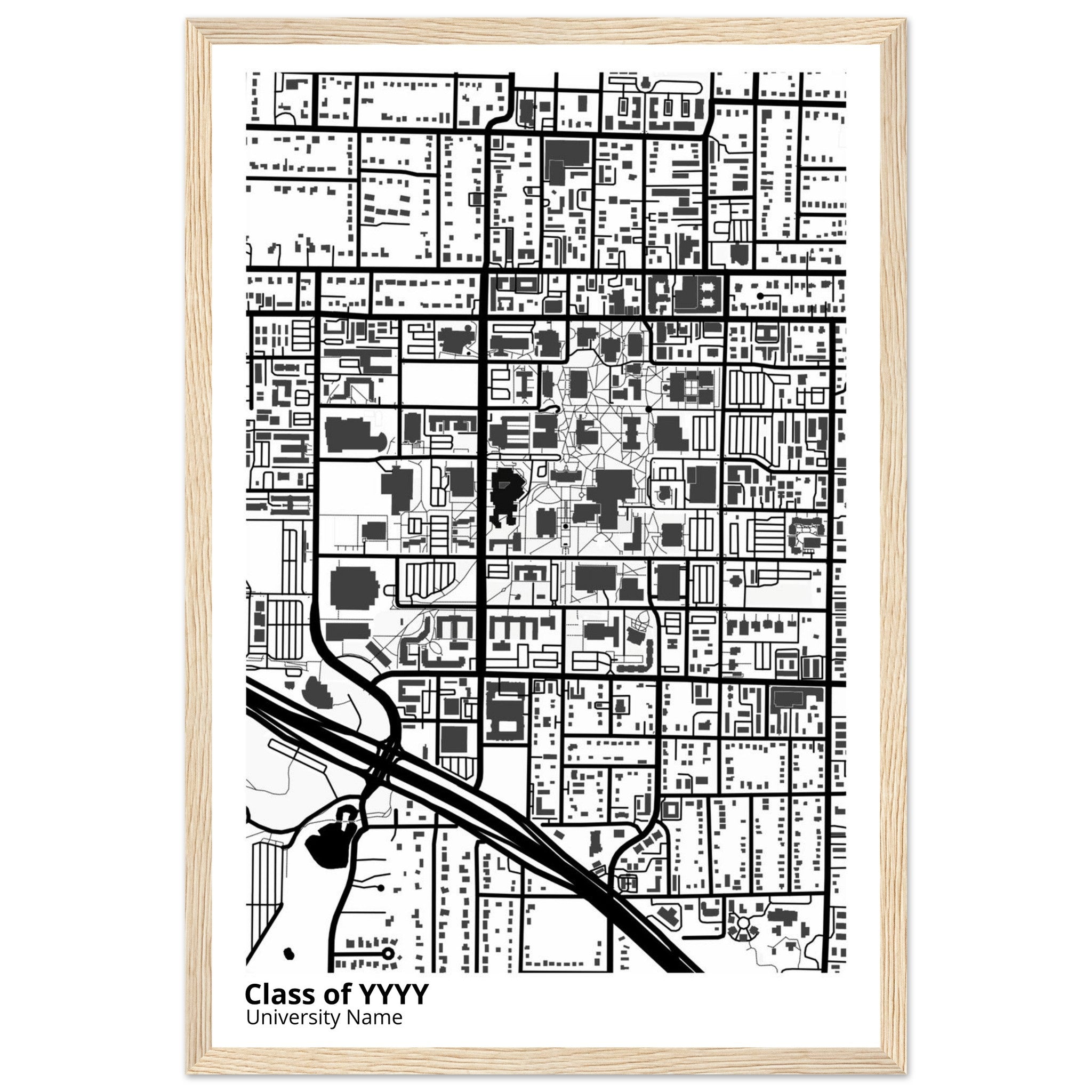 custom modern campus map print
