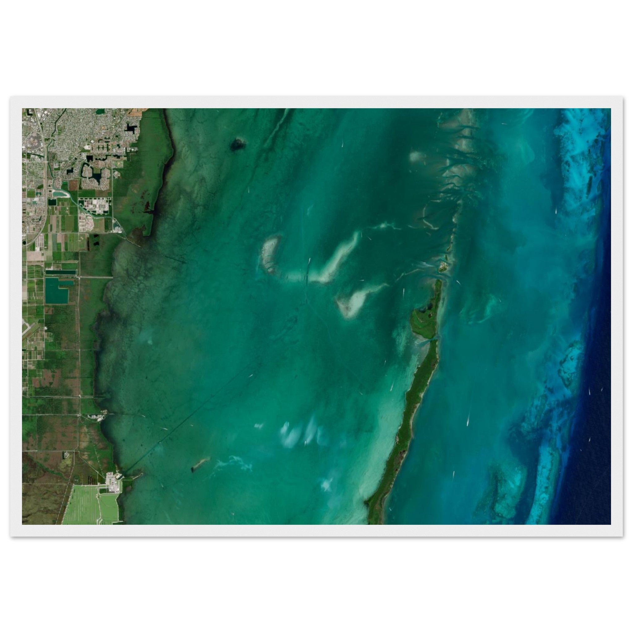 Biscayne National Park Natural Earth Print - Ink And Atlas