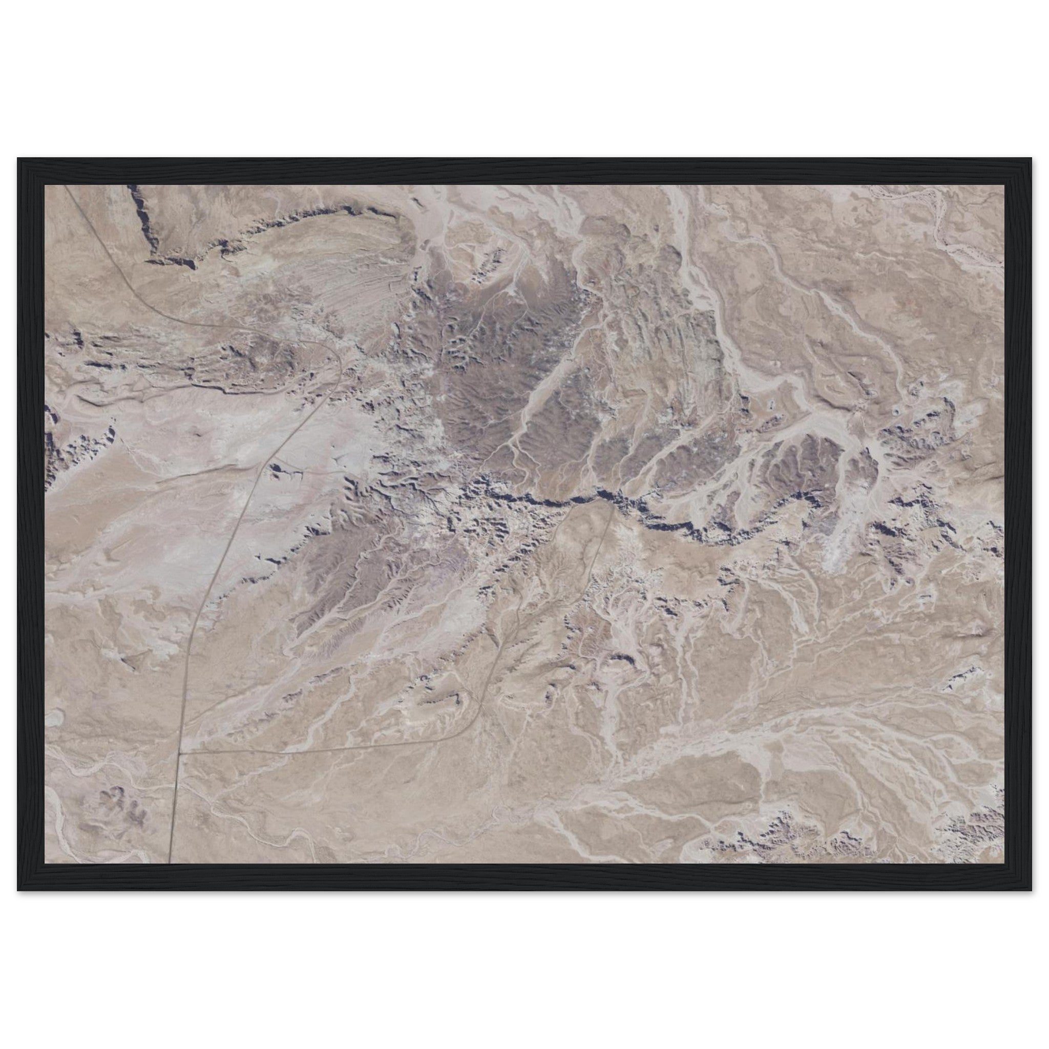 Petrified Forest National Park Natural Earth Print - Ink And Atlas