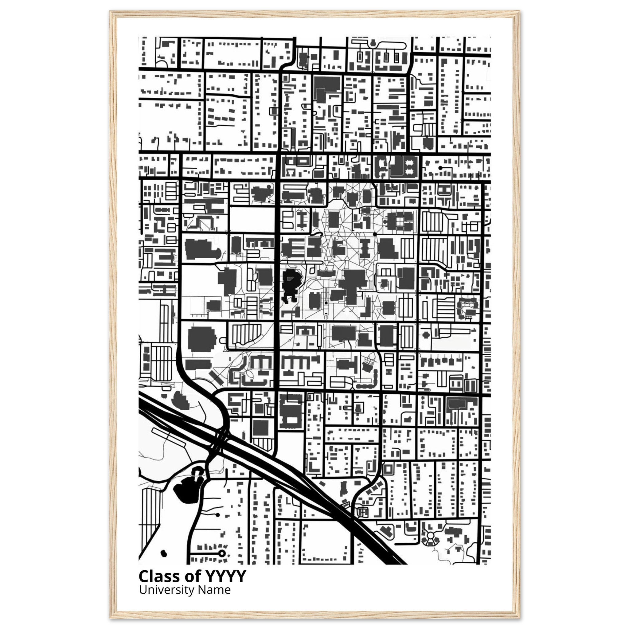 custom modern campus map print