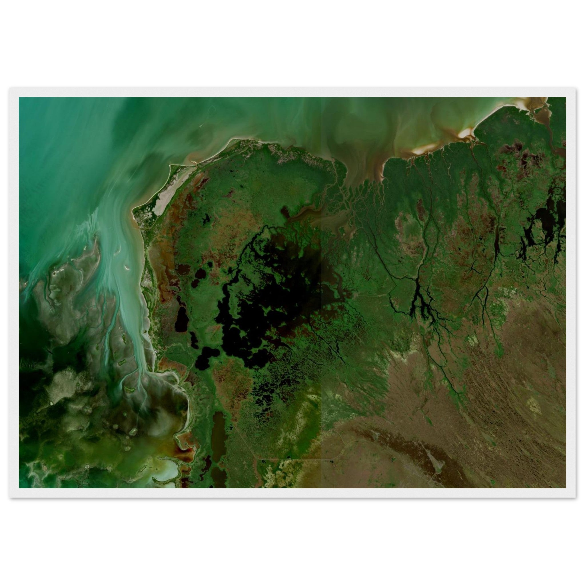 Everglades National Park Natural Earth Print - Ink And Atlas