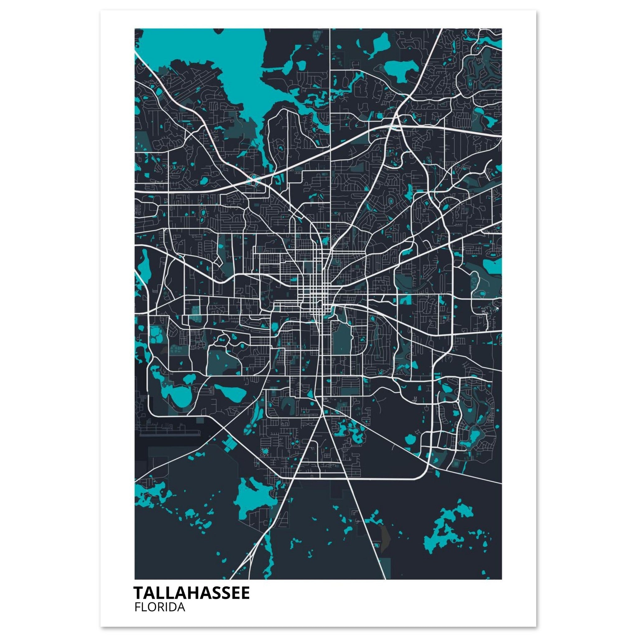 tallahassee map poster print