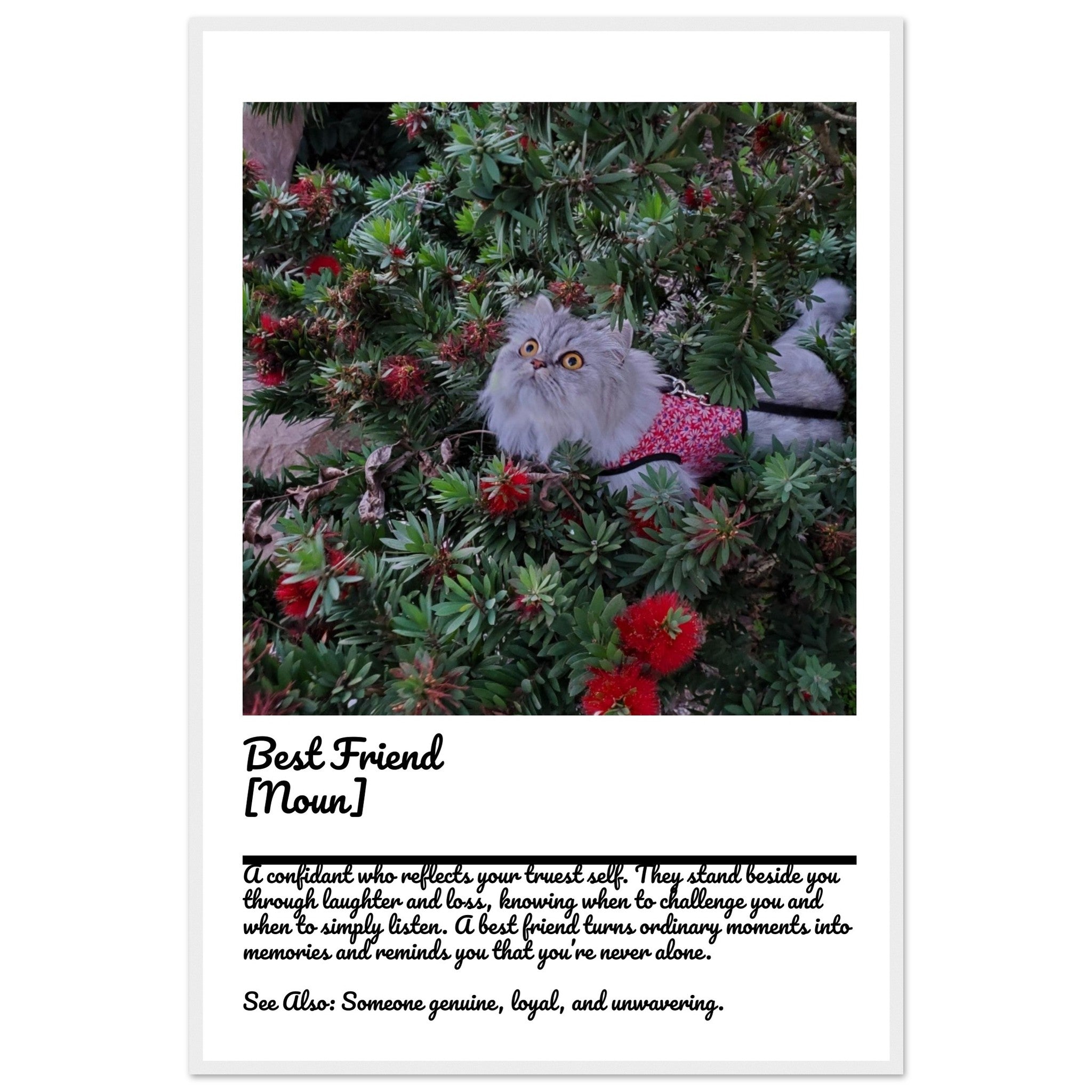 70d452a3-c919-481f-bf20-800fcb39a3dc