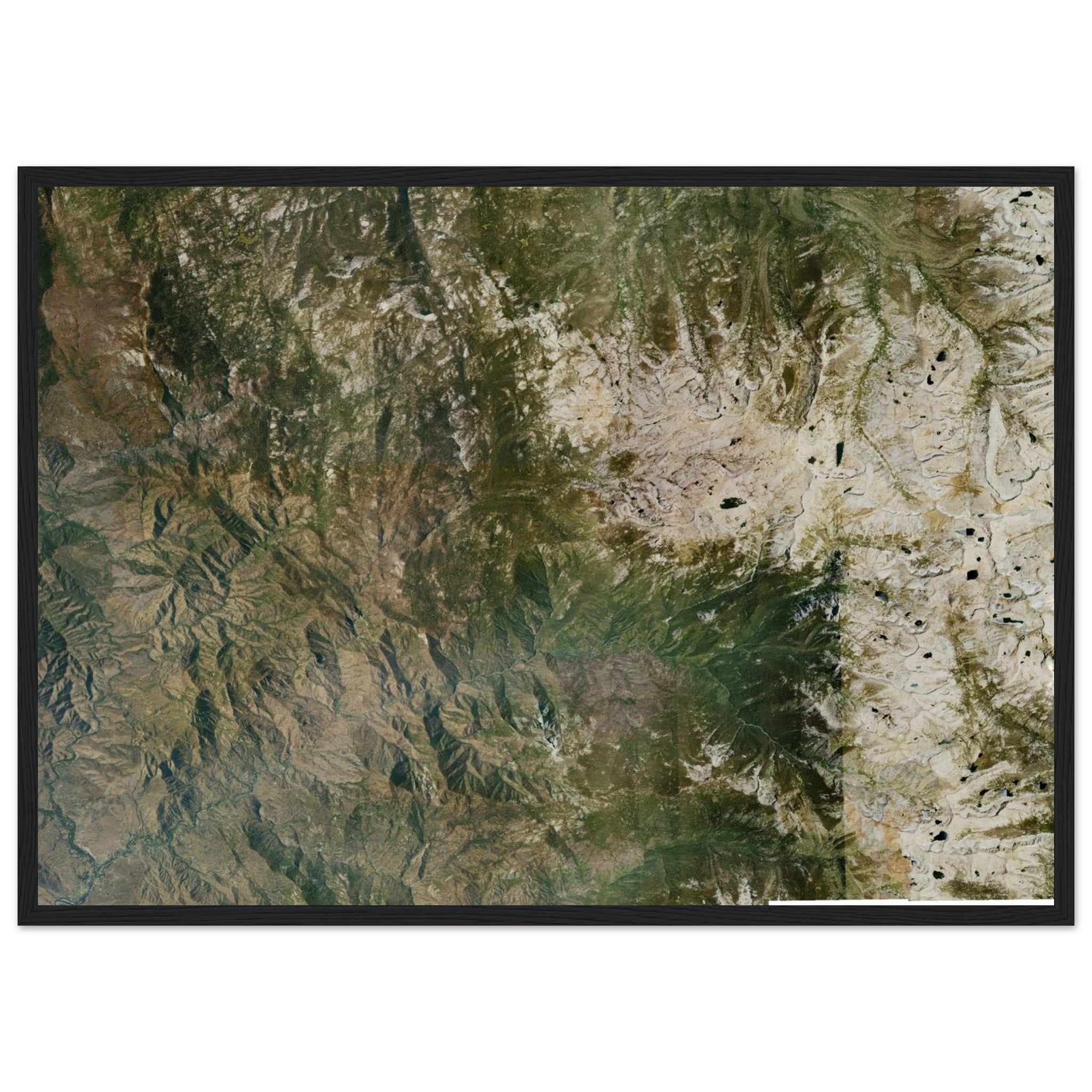 Sequoia National Park Natural Earth Print - Ink And Atlas