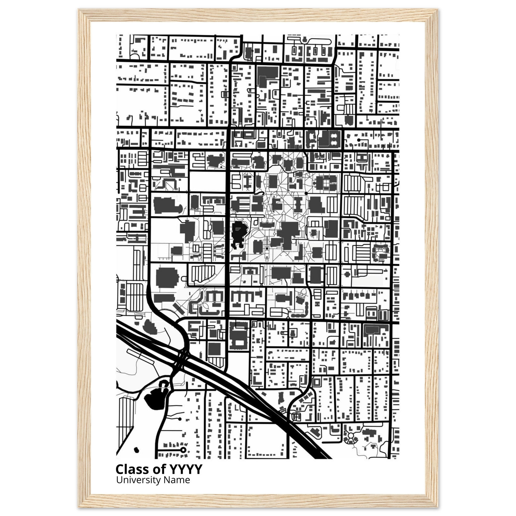 custom modern campus map print