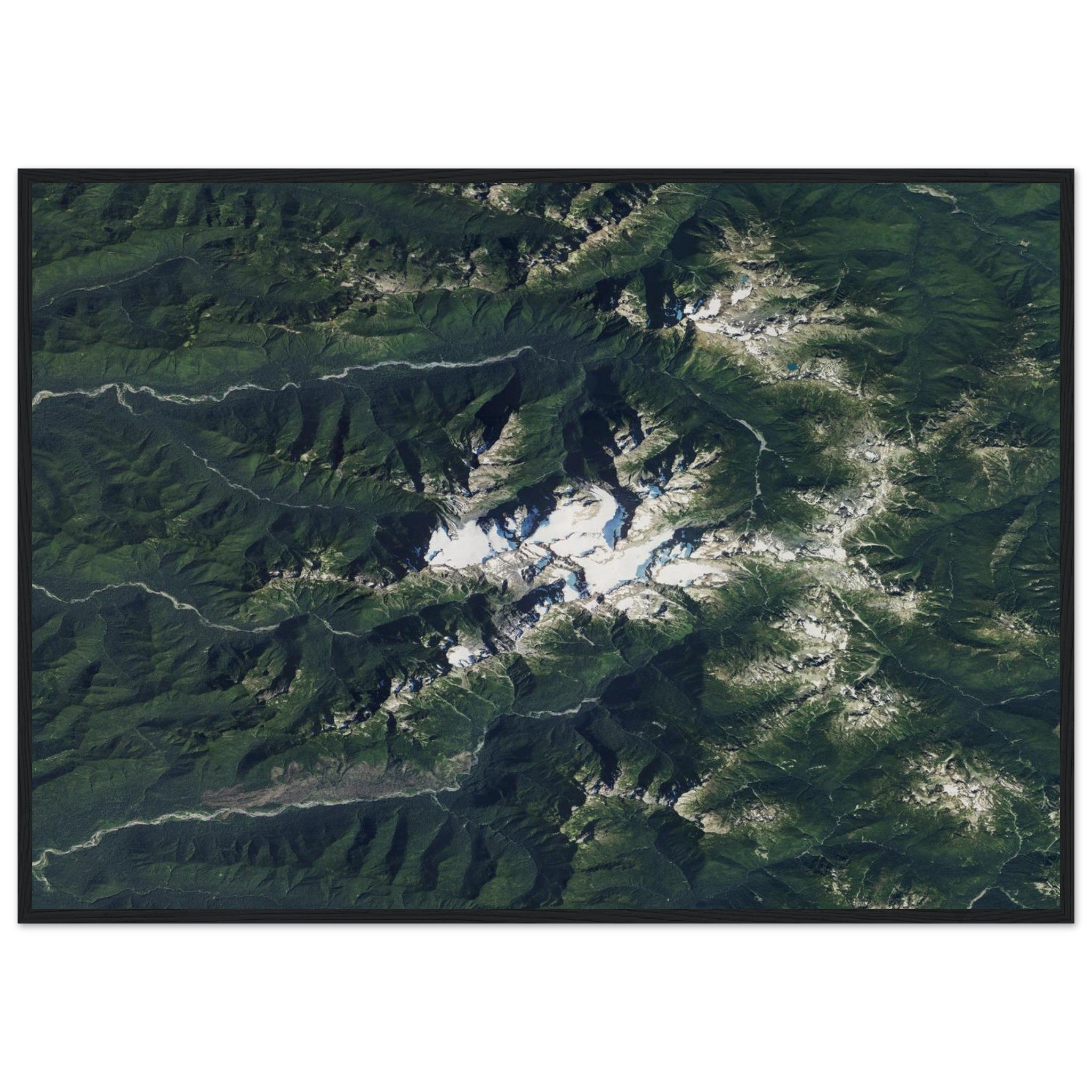 Olympic National Park Natural Earth Print - Ink And Atlas