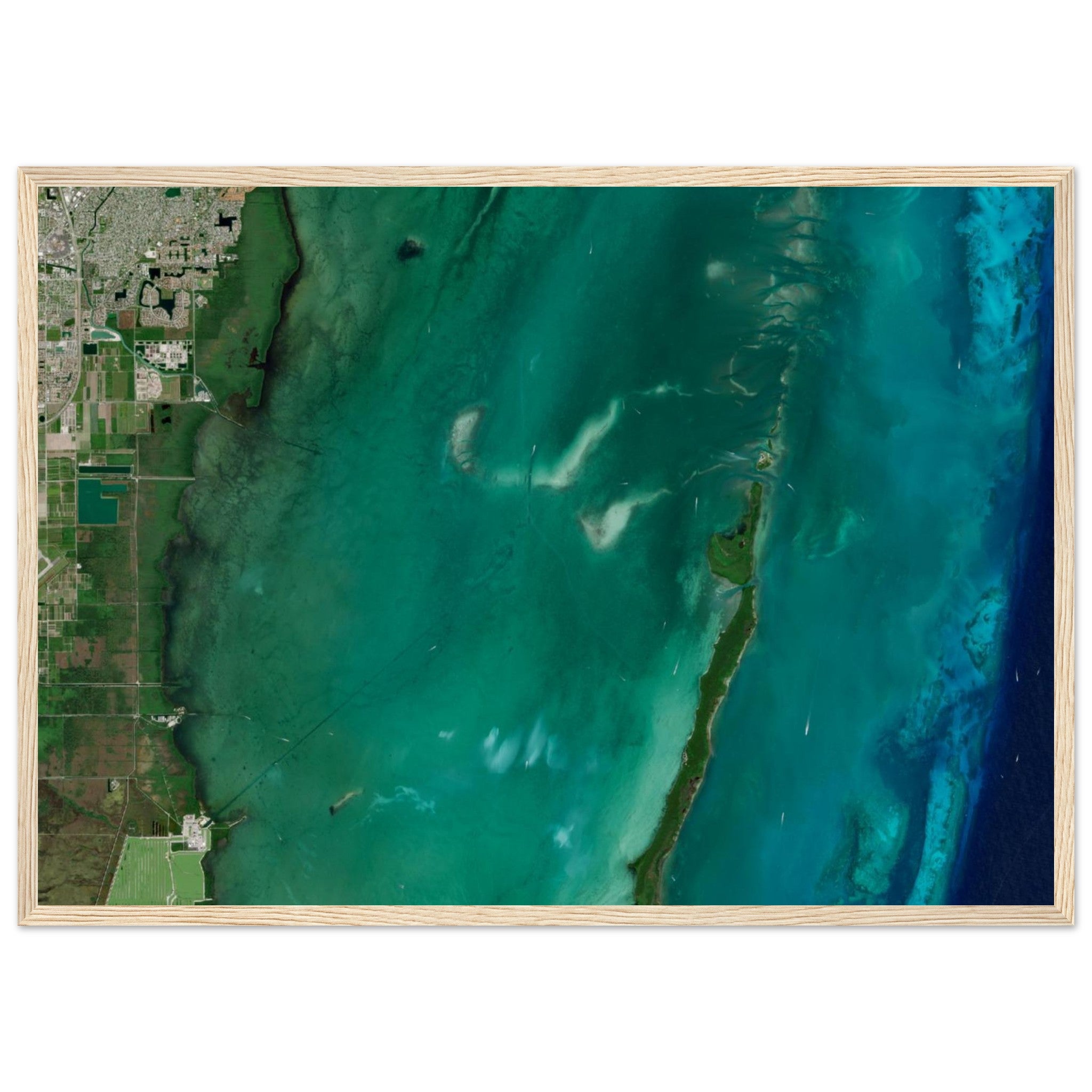 Biscayne National Park Natural Earth Print - Ink And Atlas
