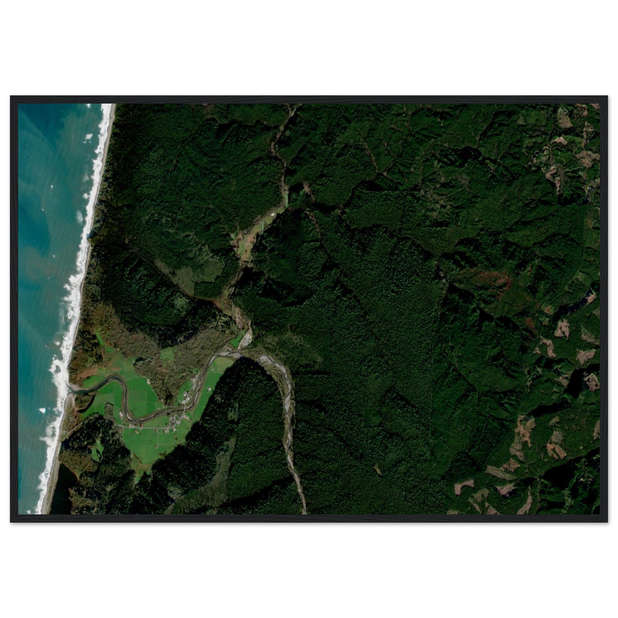 Redwood National Park Natural Earth Print - Ink And Atlas