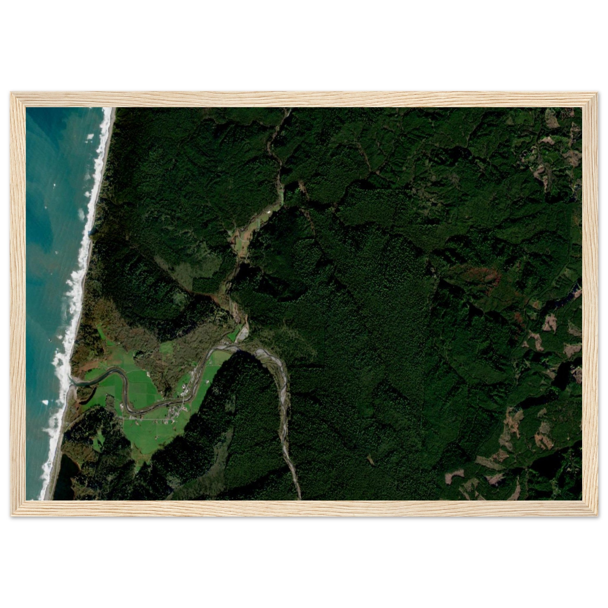 Redwood National Park Natural Earth Print - Ink And Atlas