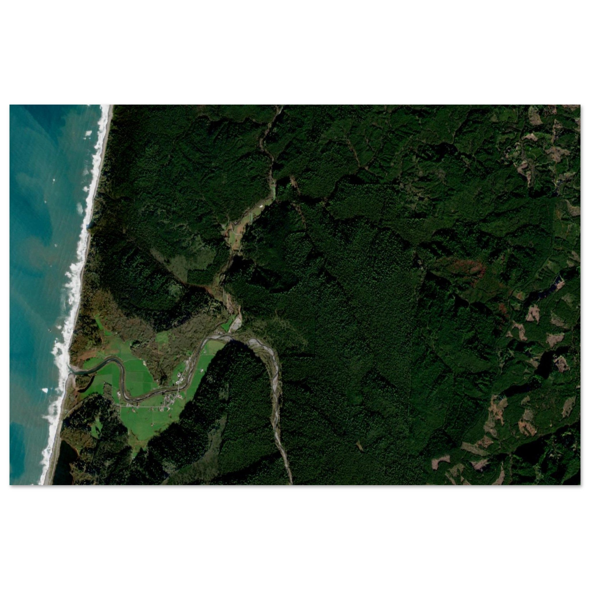 Redwood National Park Natural Earth Print - Ink And Atlas