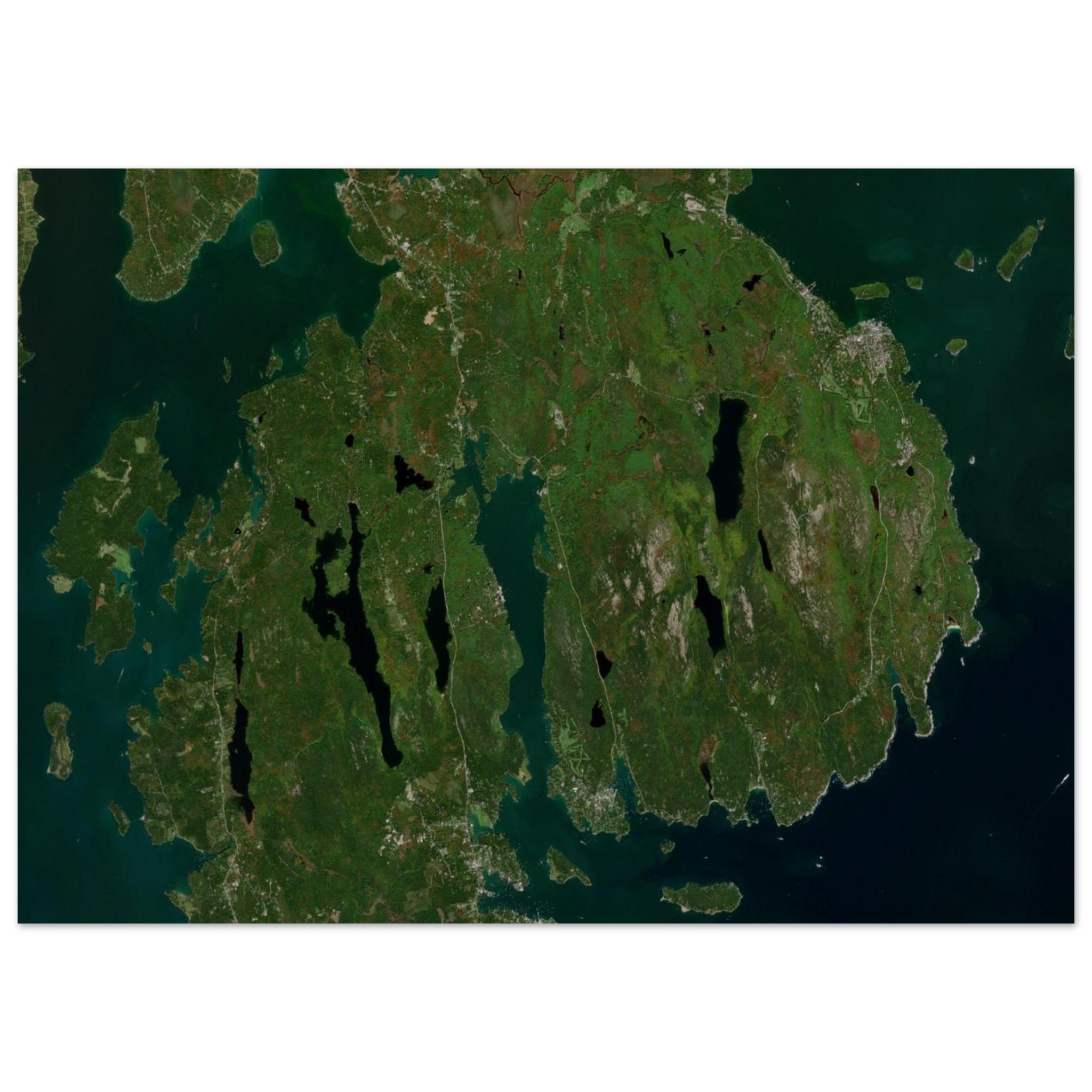 Acadia National Park Natural Earth Print - Ink And Atlas