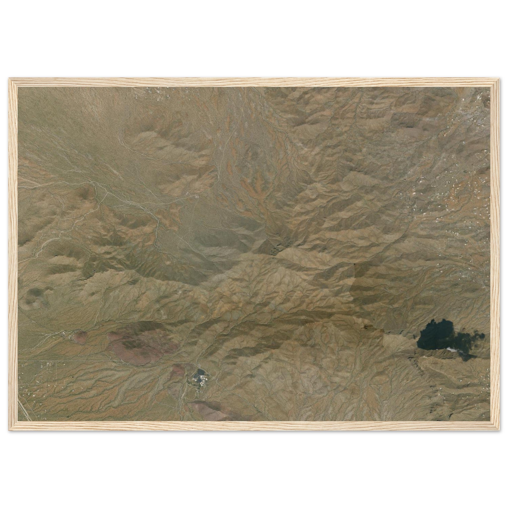 Saguaro National Park Natural Earth Print - Ink And Atlas