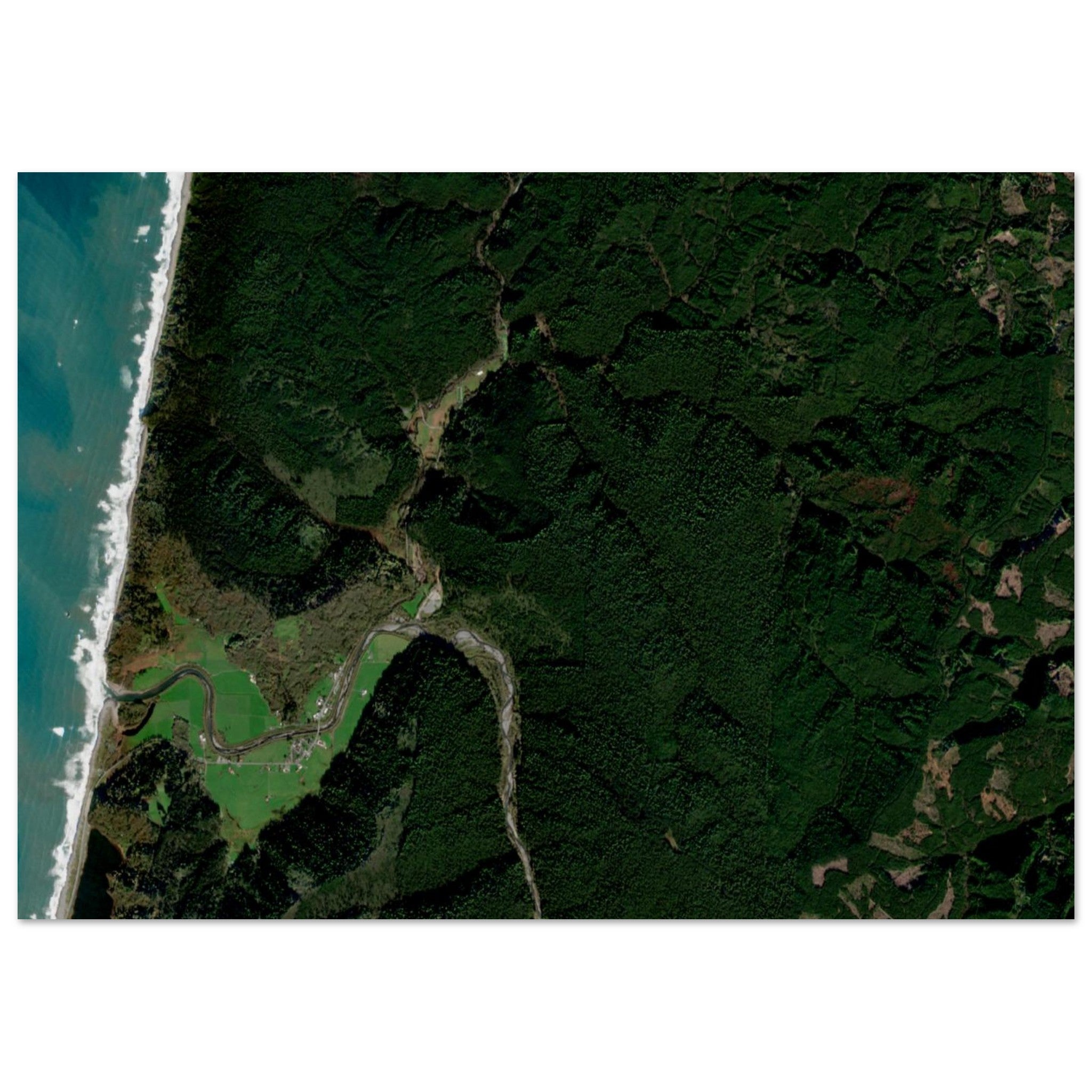 Redwood National Park Natural Earth Print - Ink And Atlas