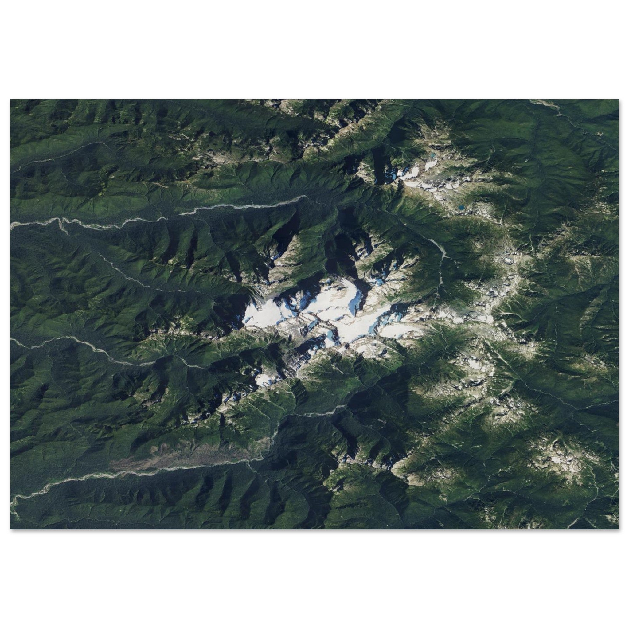 Olympic National Park Natural Earth Print - Ink And Atlas