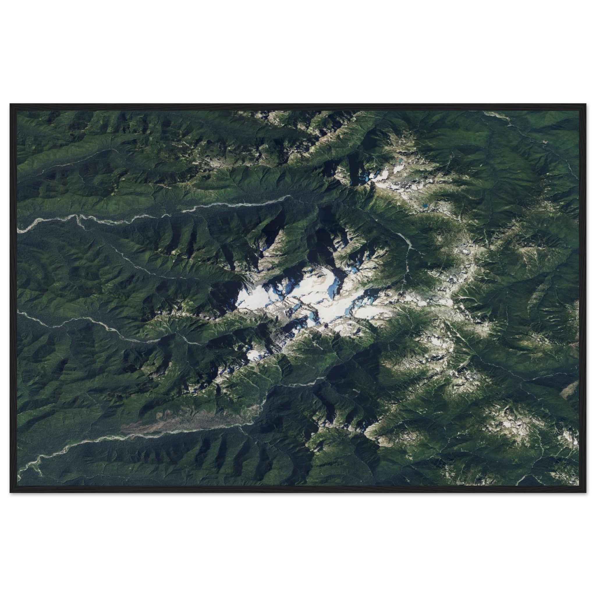 Olympic National Park Natural Earth Print - Ink And Atlas