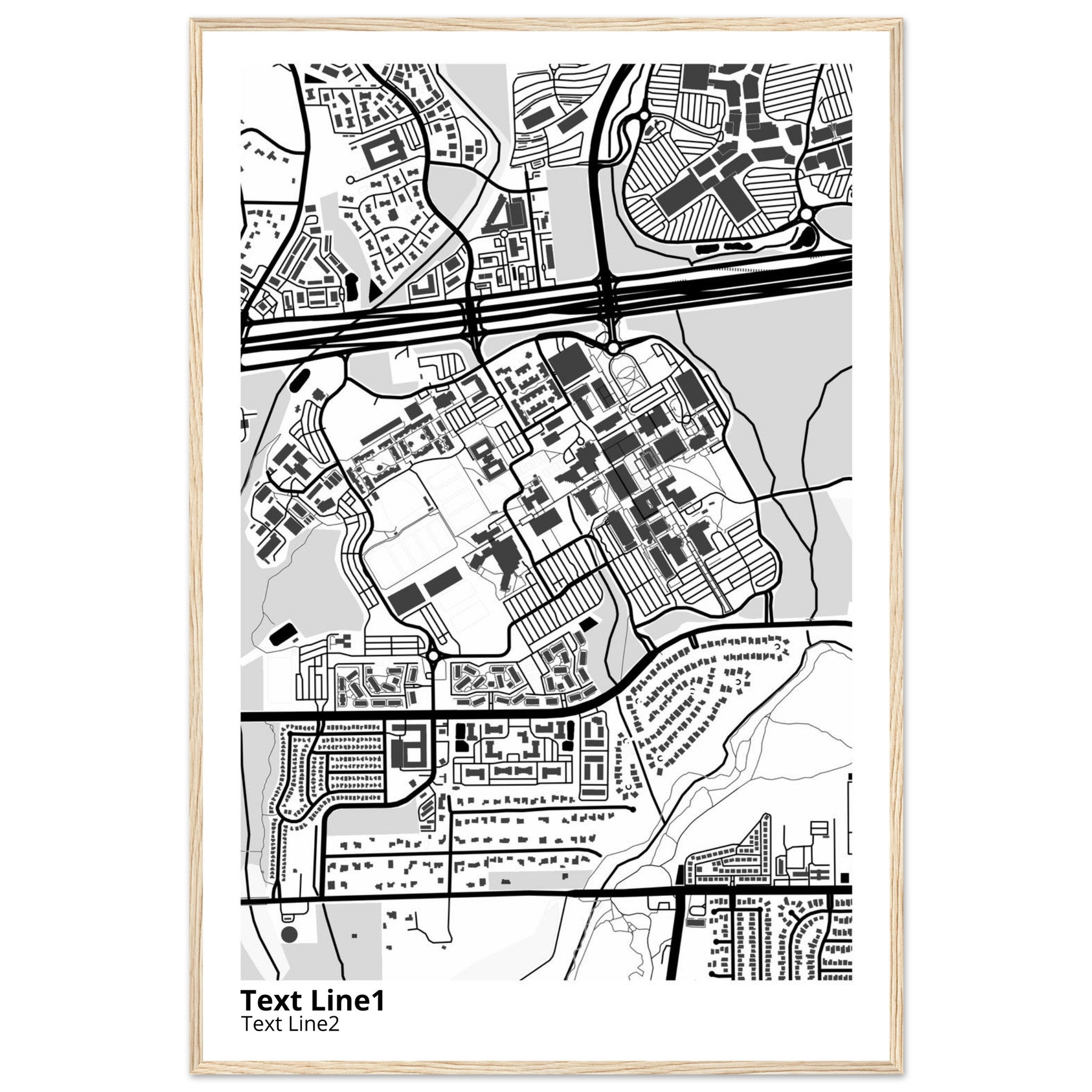 The University of Texas San Antonio Campus Map Poster | Alumni Gift - Ink And Atlas