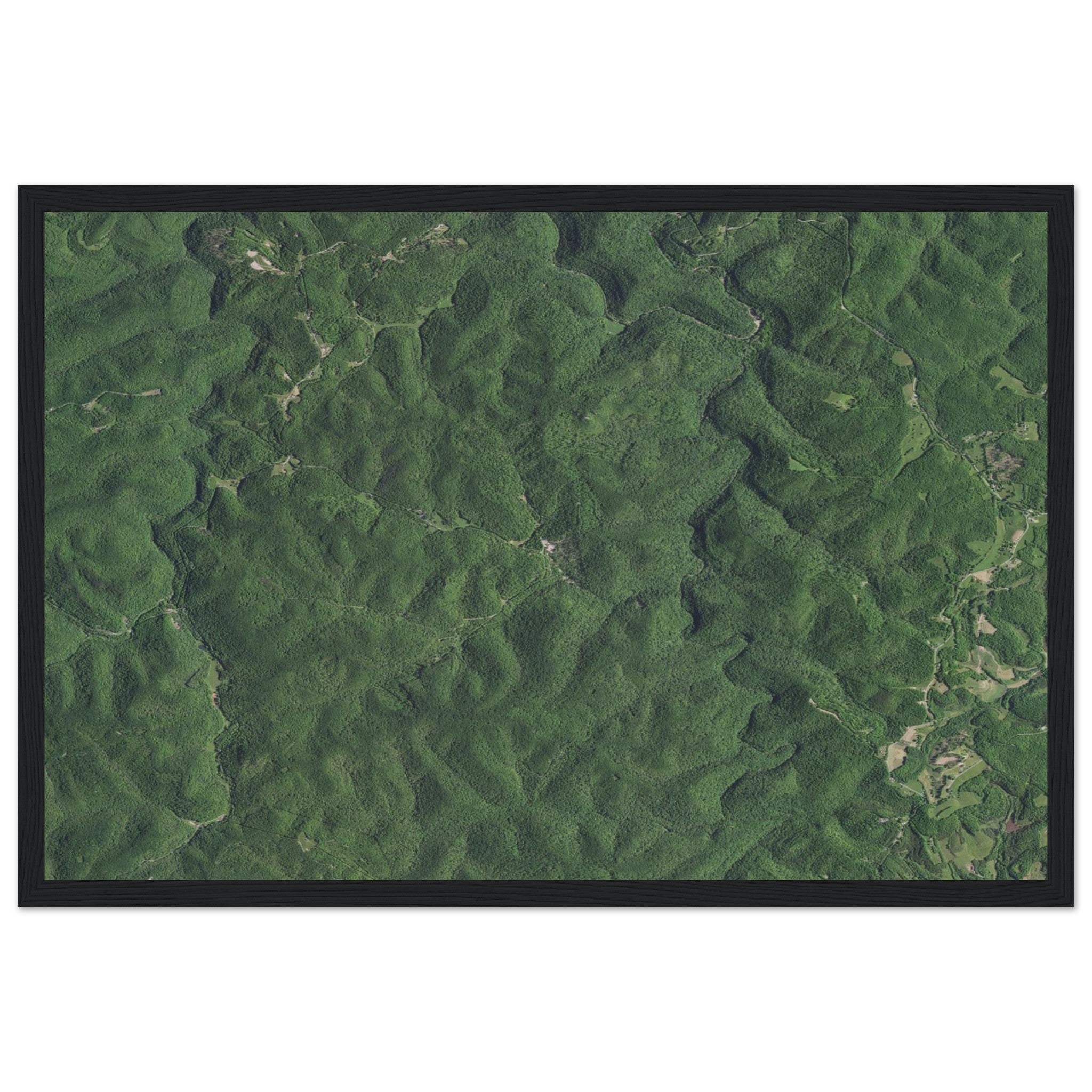 Wind Cave National Park Natural Earth Print - Ink And Atlas