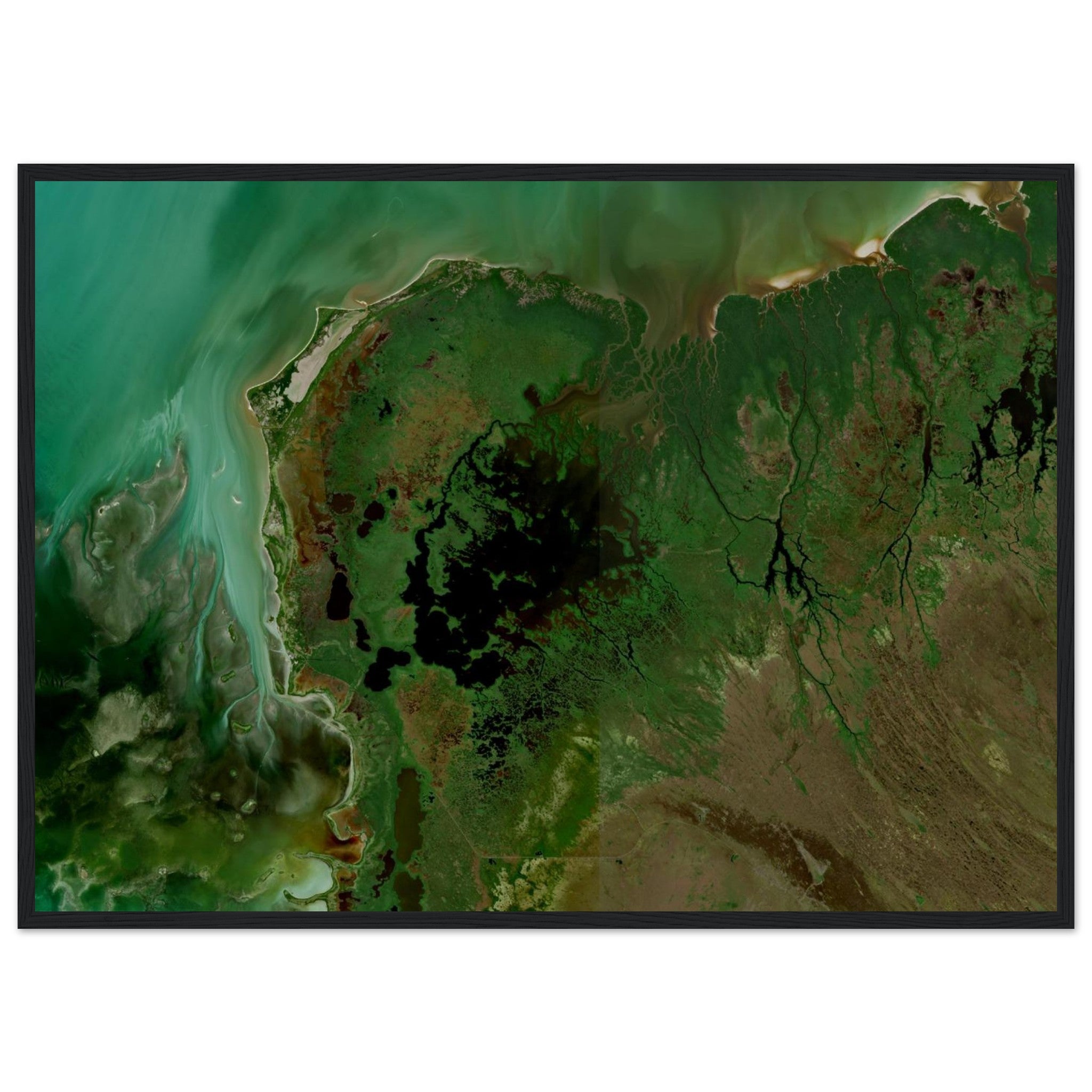 Everglades National Park Natural Earth Print - Ink And Atlas