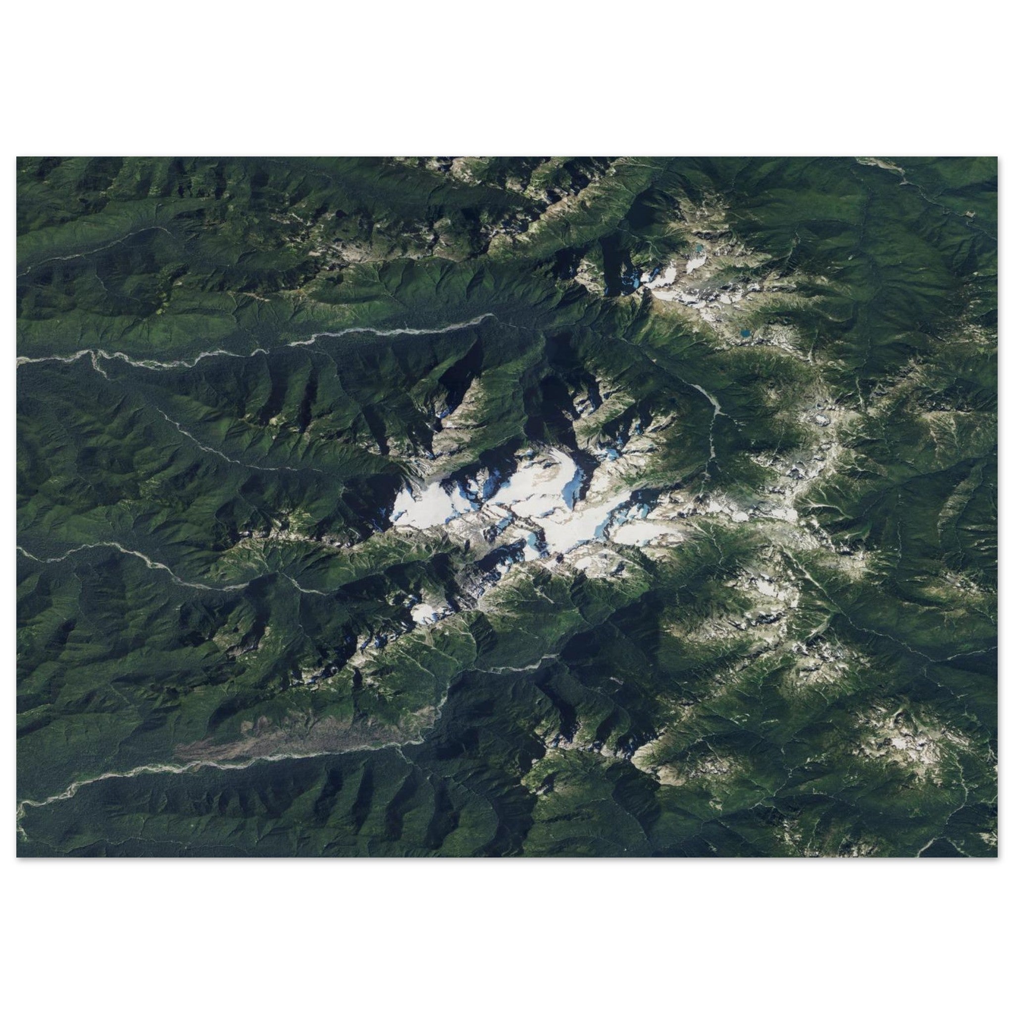 Olympic National Park Natural Earth Print - Ink And Atlas