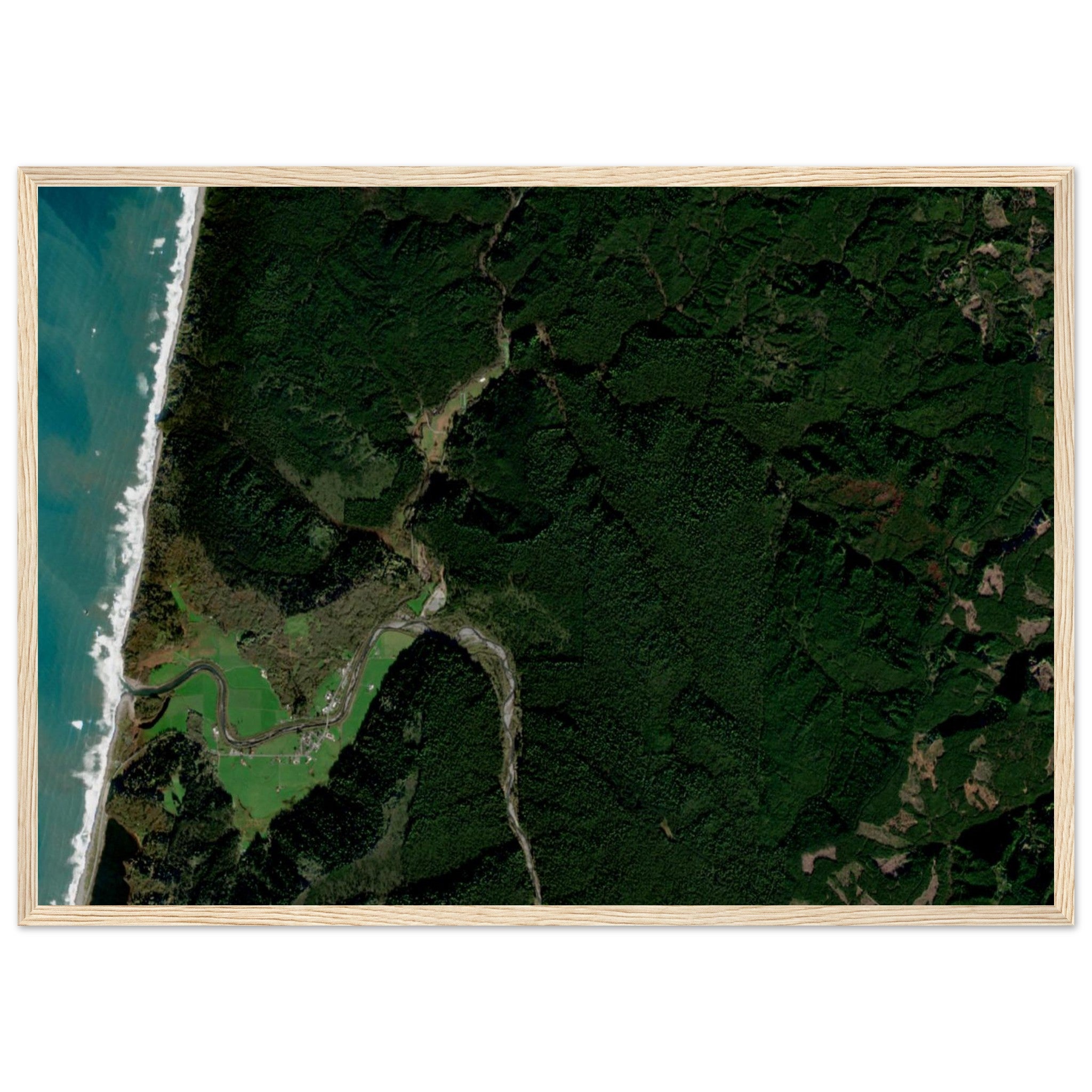 Redwood National Park Natural Earth Print - Ink And Atlas