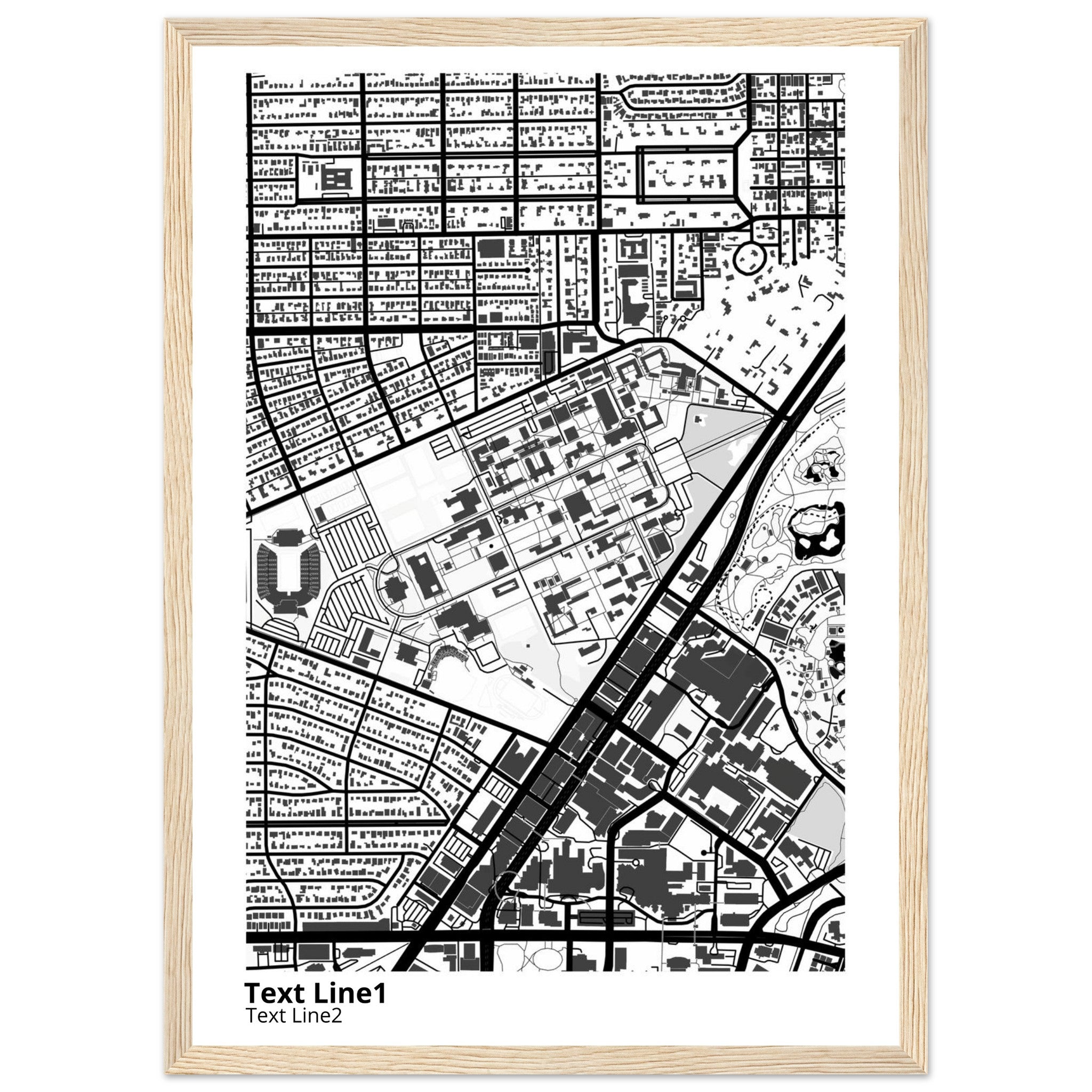 rice university modern campus map print
