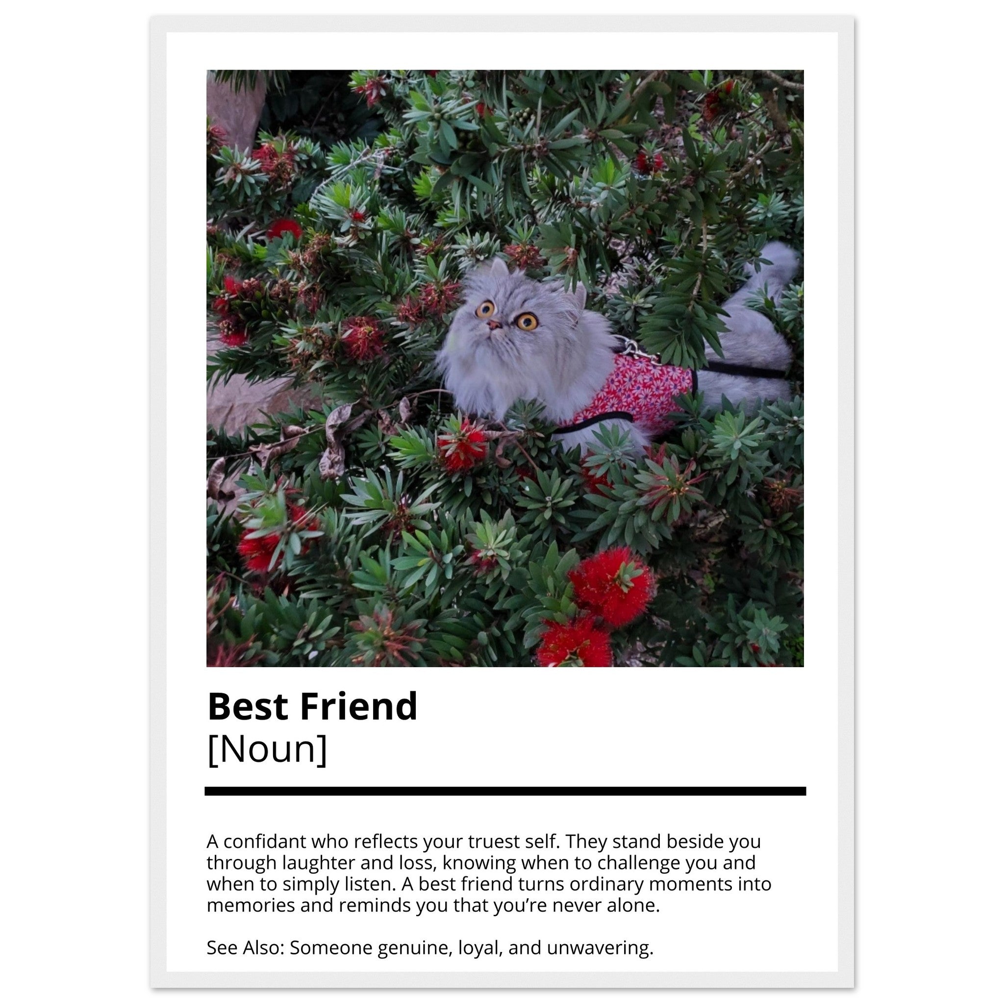 843ddfbb-b9c0-4a18-bc58-803bfd668844