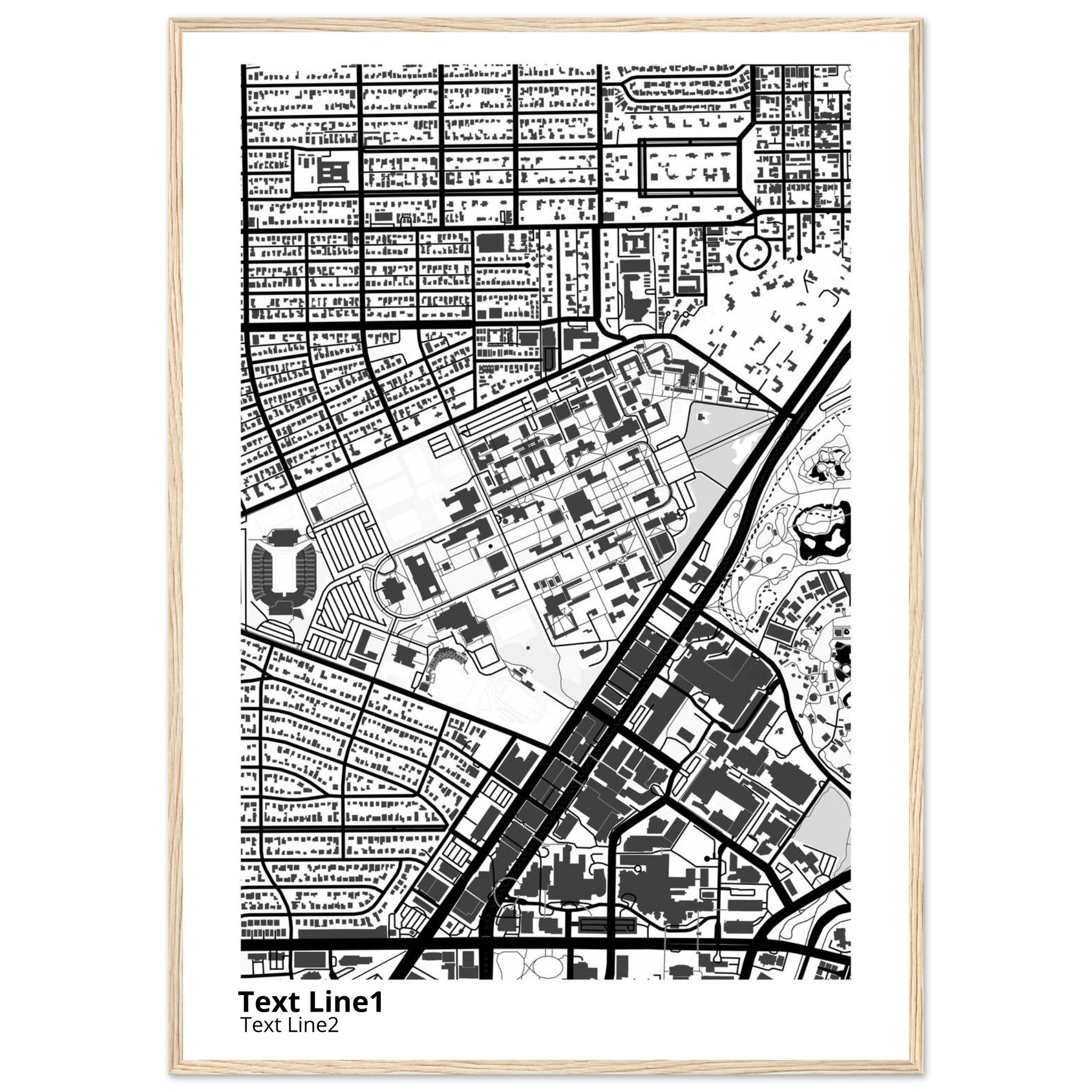 rice university modern campus map print