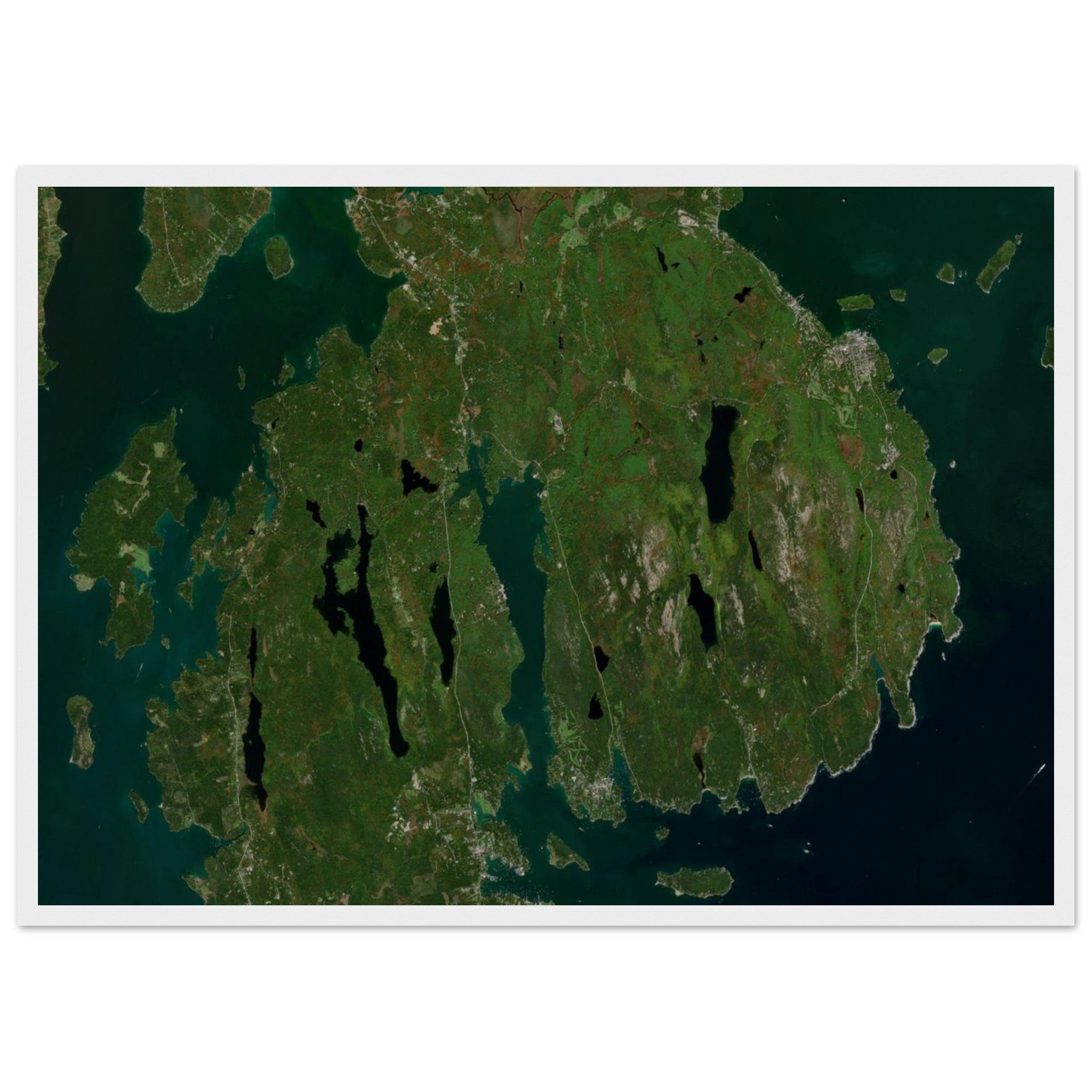 Acadia National Park Natural Earth Print - Ink And Atlas
