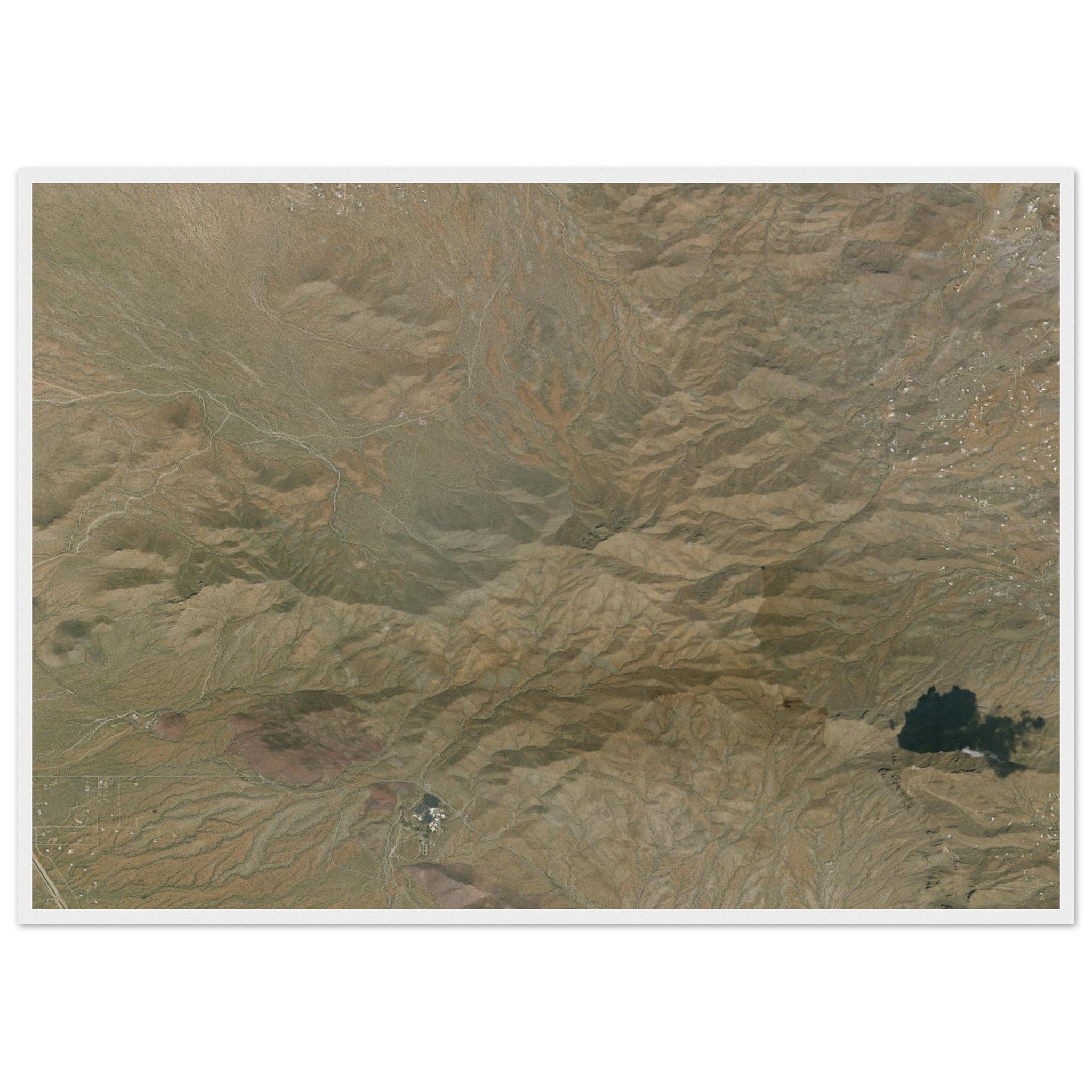 Saguaro National Park Natural Earth Print - Ink And Atlas