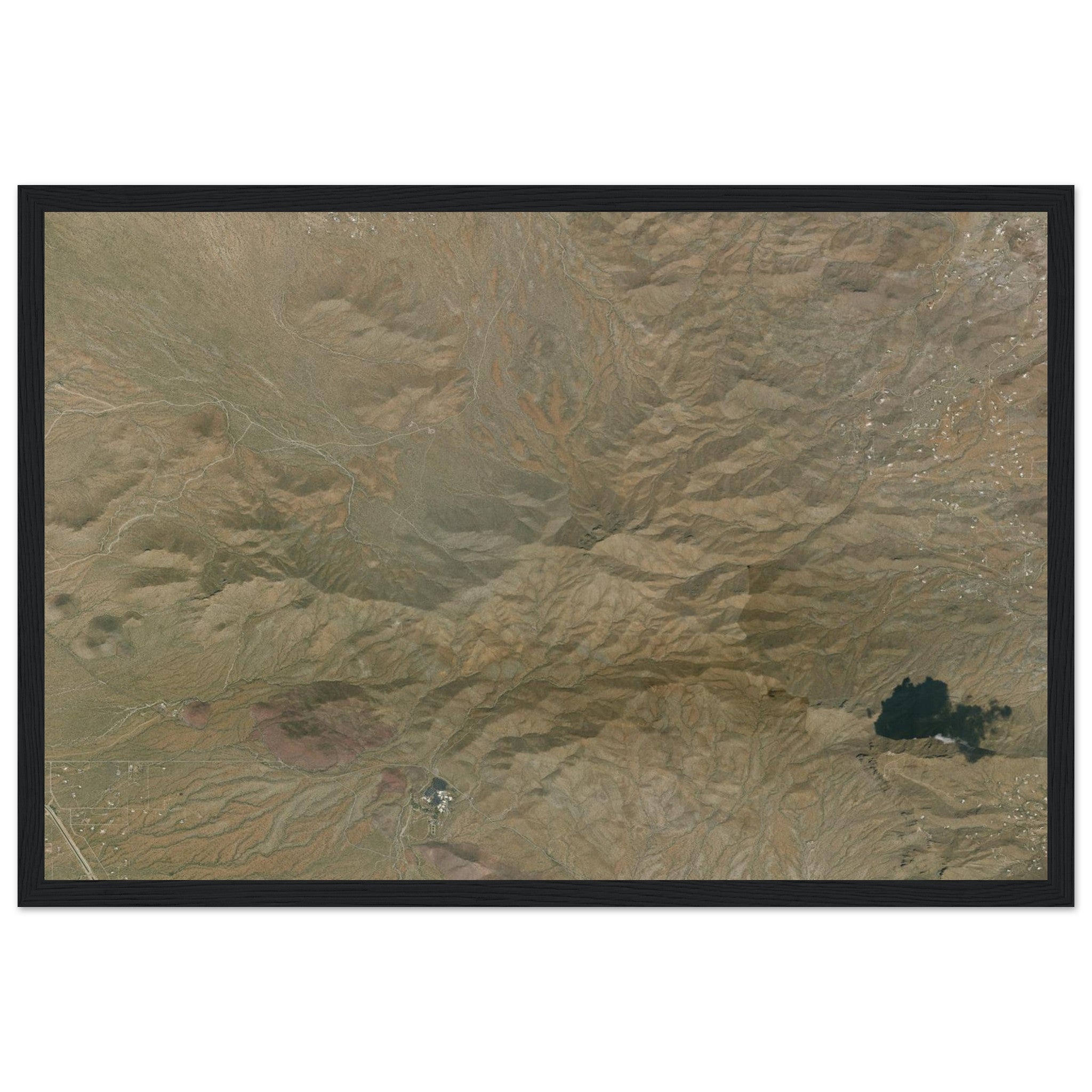 Saguaro National Park Natural Earth Print - Ink And Atlas