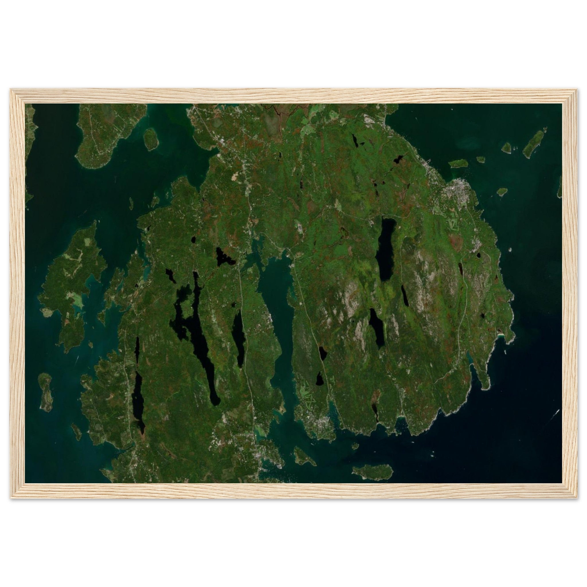 Acadia National Park Natural Earth Print - Ink And Atlas