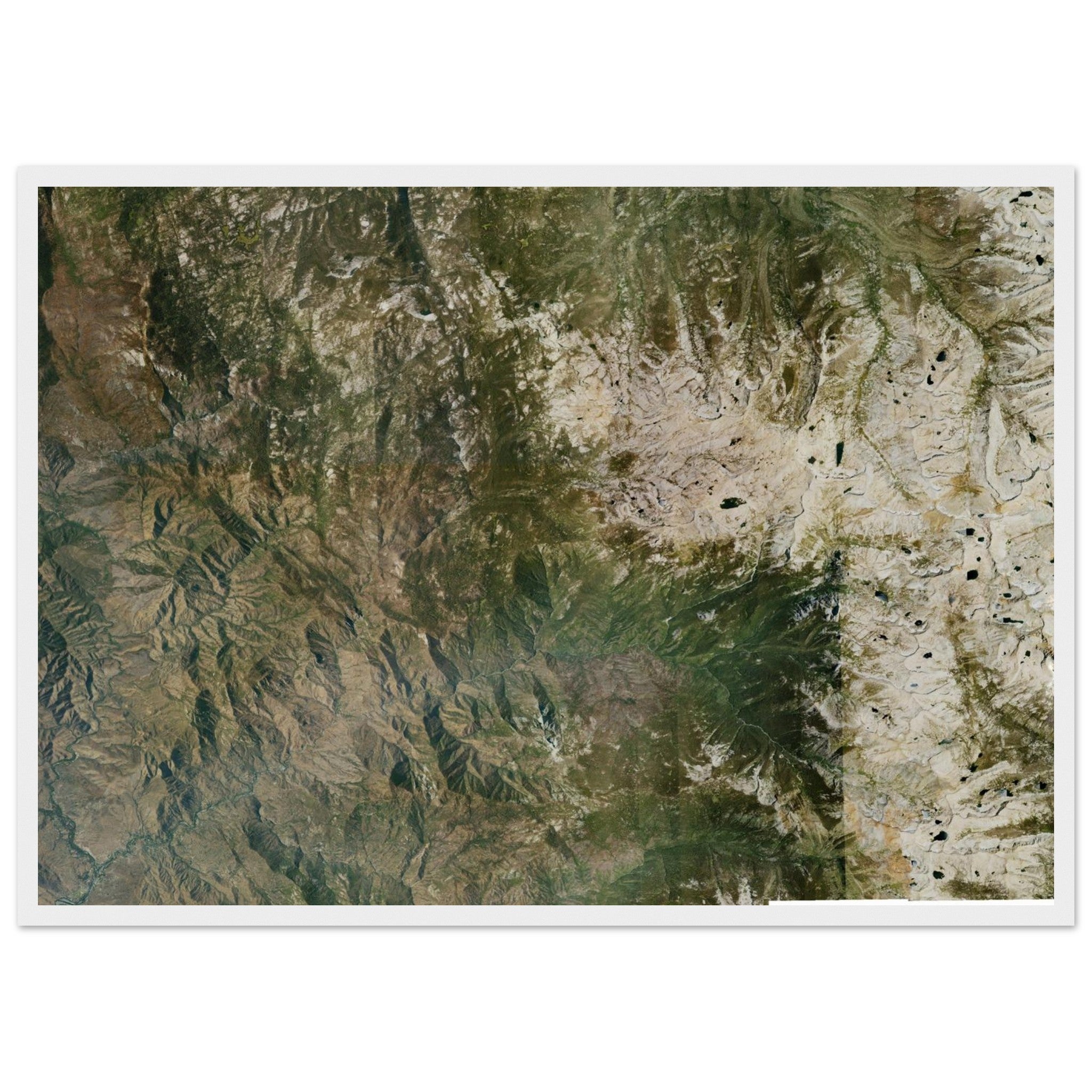 Sequoia National Park Natural Earth Print - Ink And Atlas