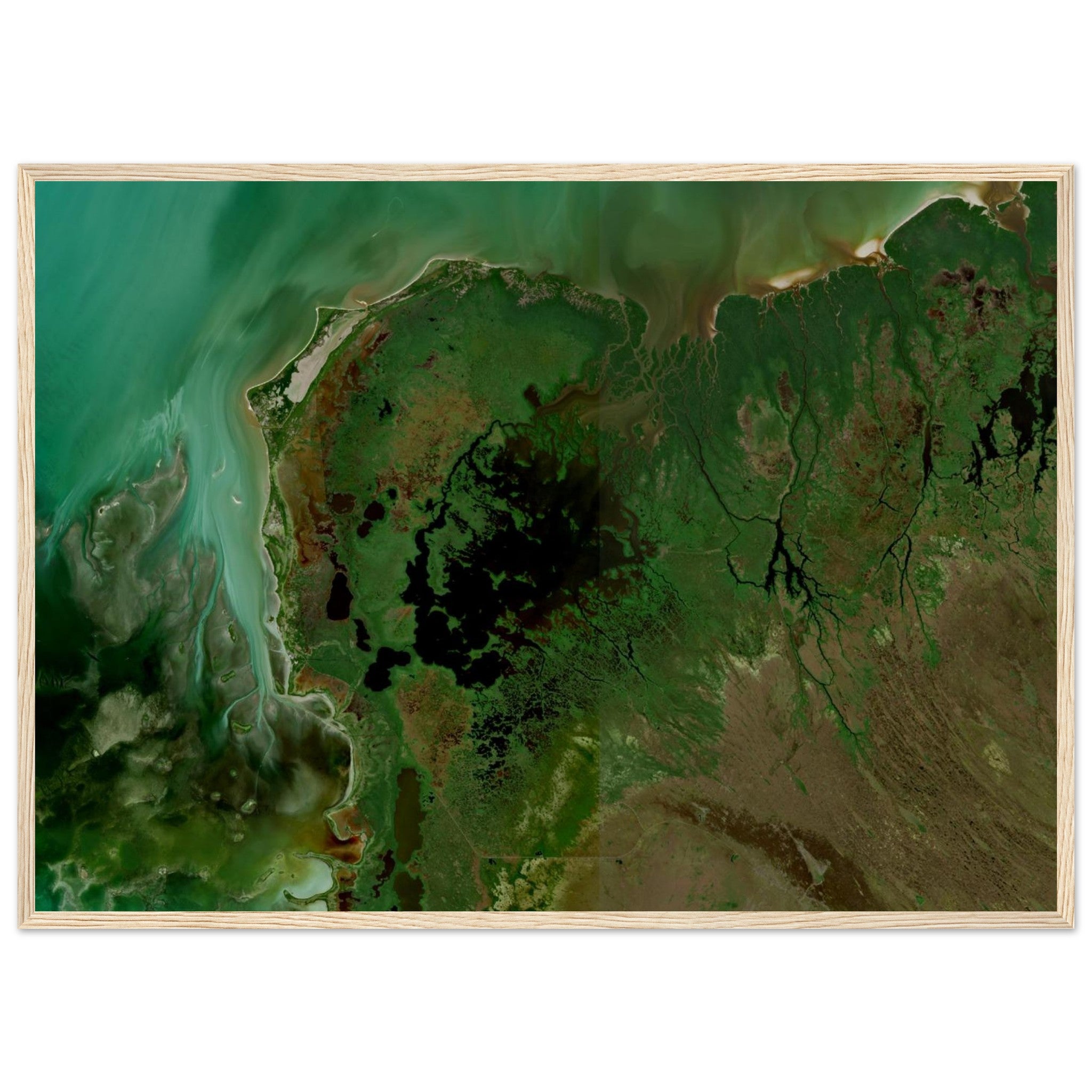 Everglades National Park Natural Earth Print - Ink And Atlas