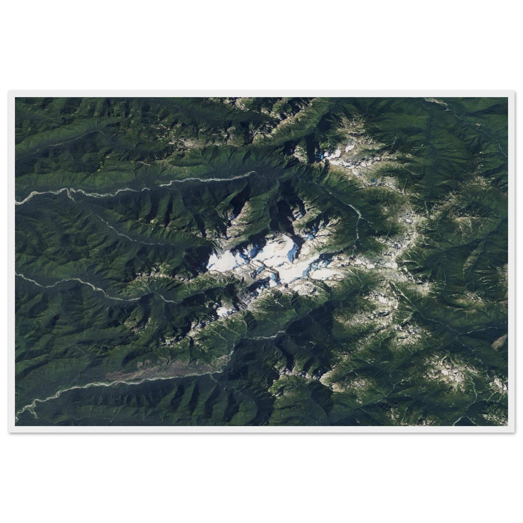 Olympic National Park Natural Earth Print - Ink And Atlas