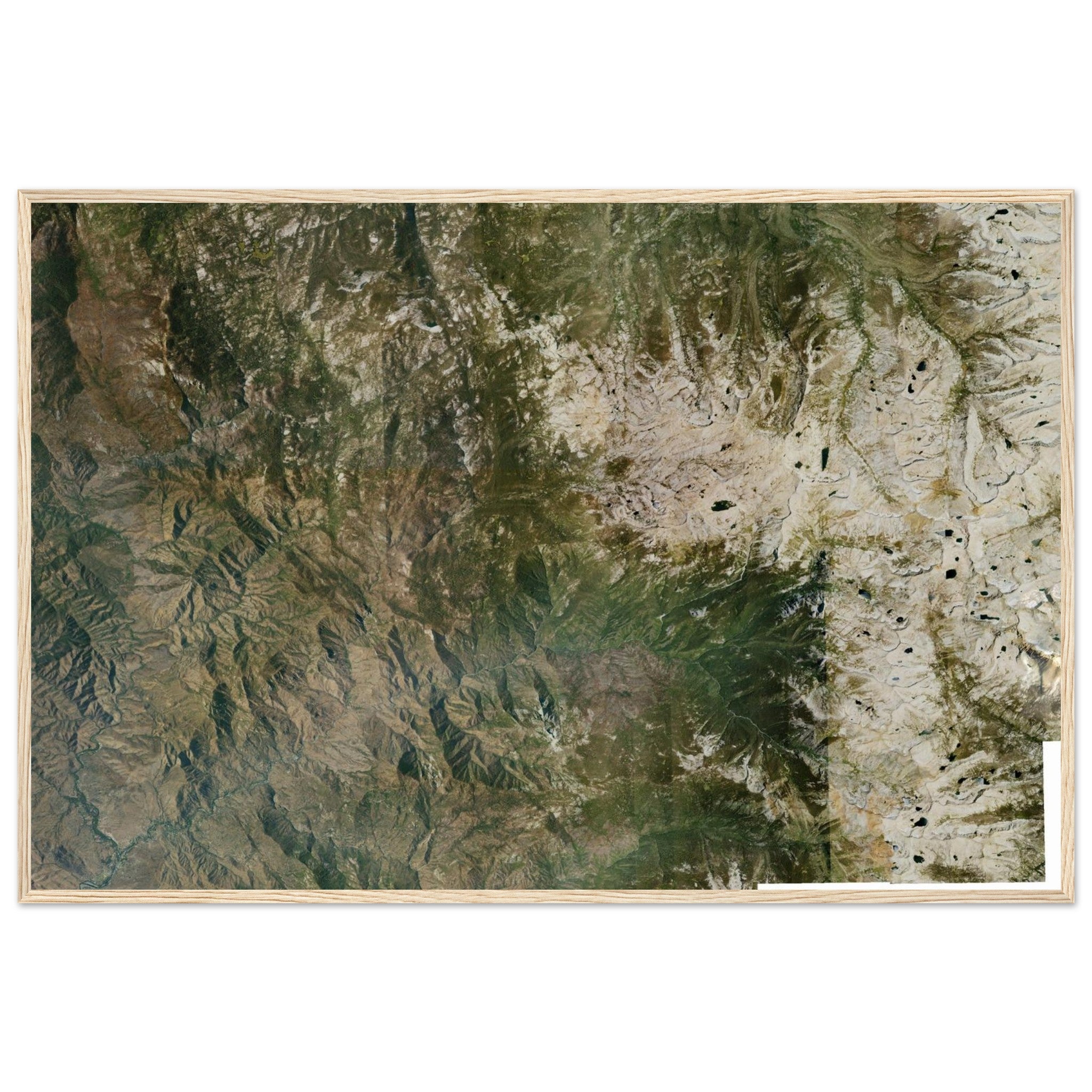 Sequoia National Park Natural Earth Print - Ink And Atlas