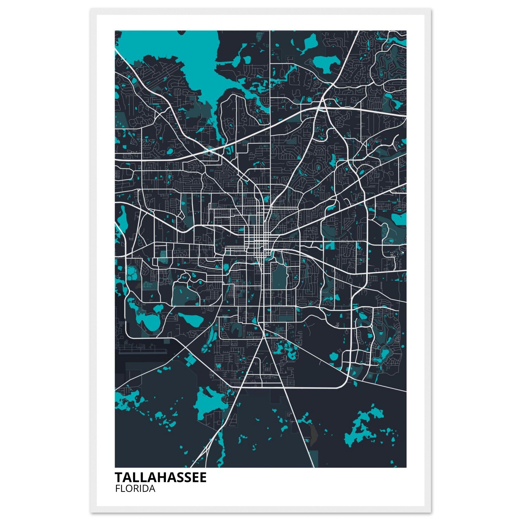 tallahassee map poster print