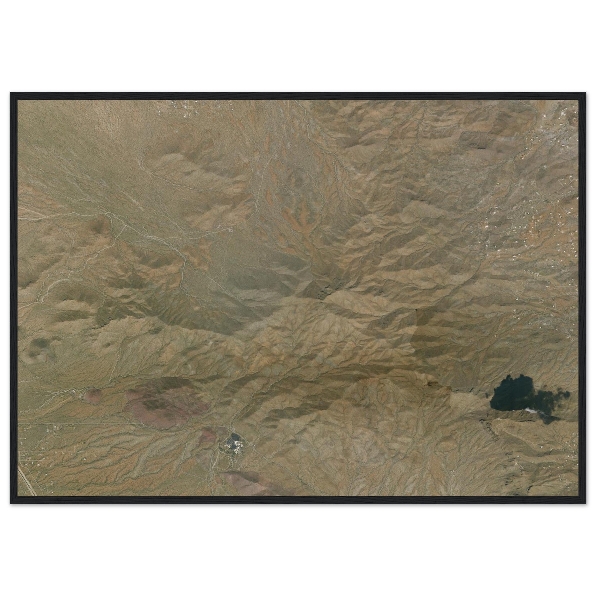Saguaro National Park Natural Earth Print - Ink And Atlas