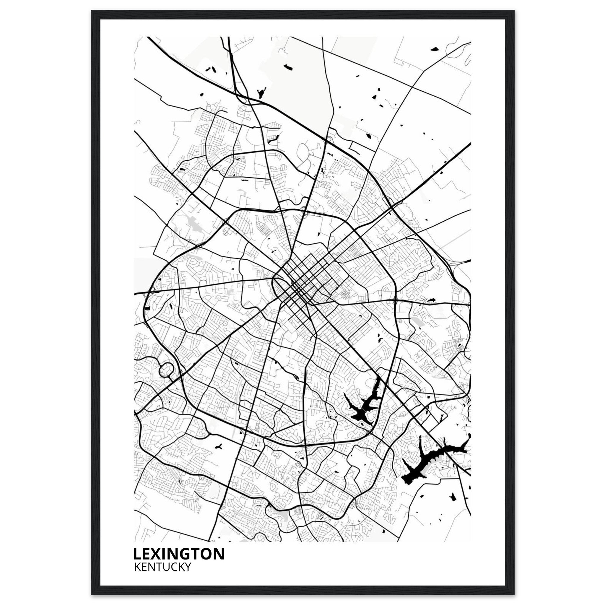 Lexington Kentucky City Map Poster | Custom Map Art Print - Ink And Atlas