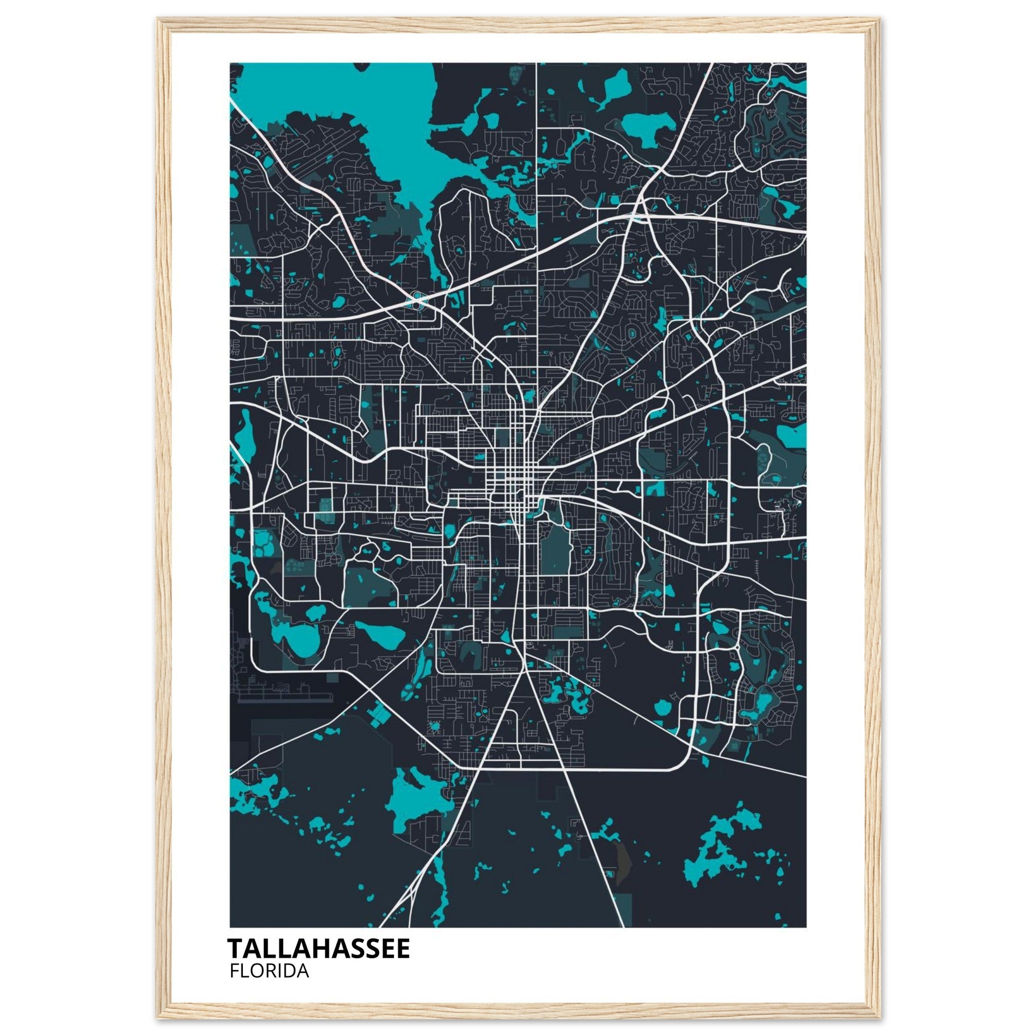 tallahassee map poster print