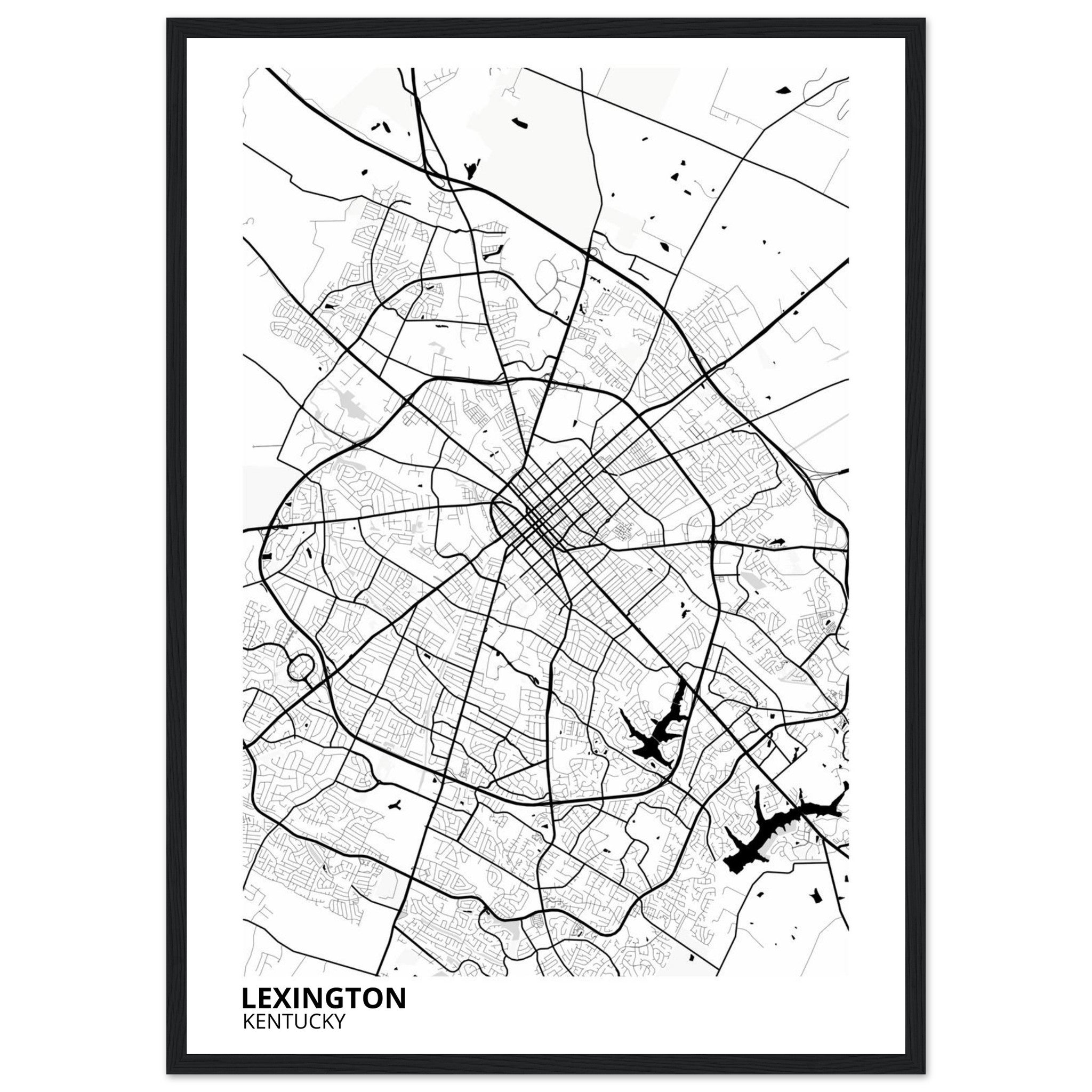 Lexington Kentucky City Map Poster | Custom Map Art Print - Ink And Atlas