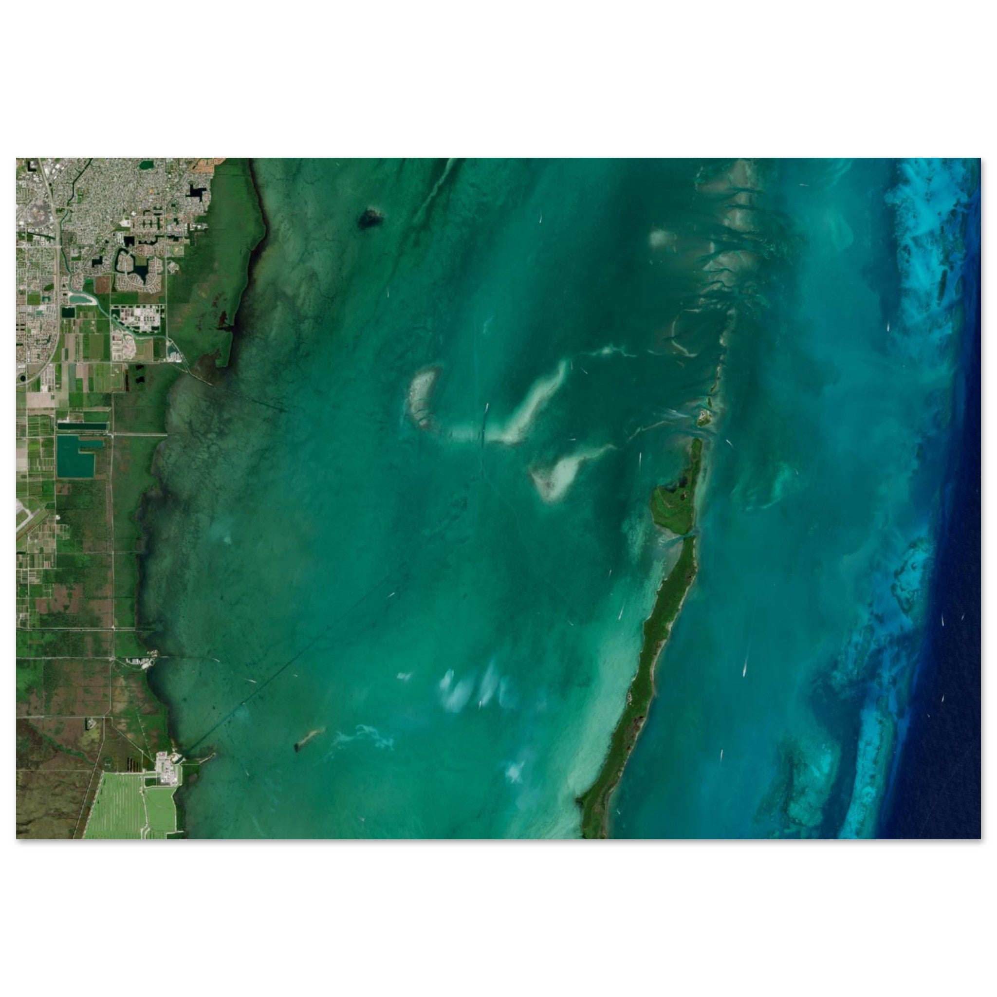 Biscayne National Park Natural Earth Print - Ink And Atlas