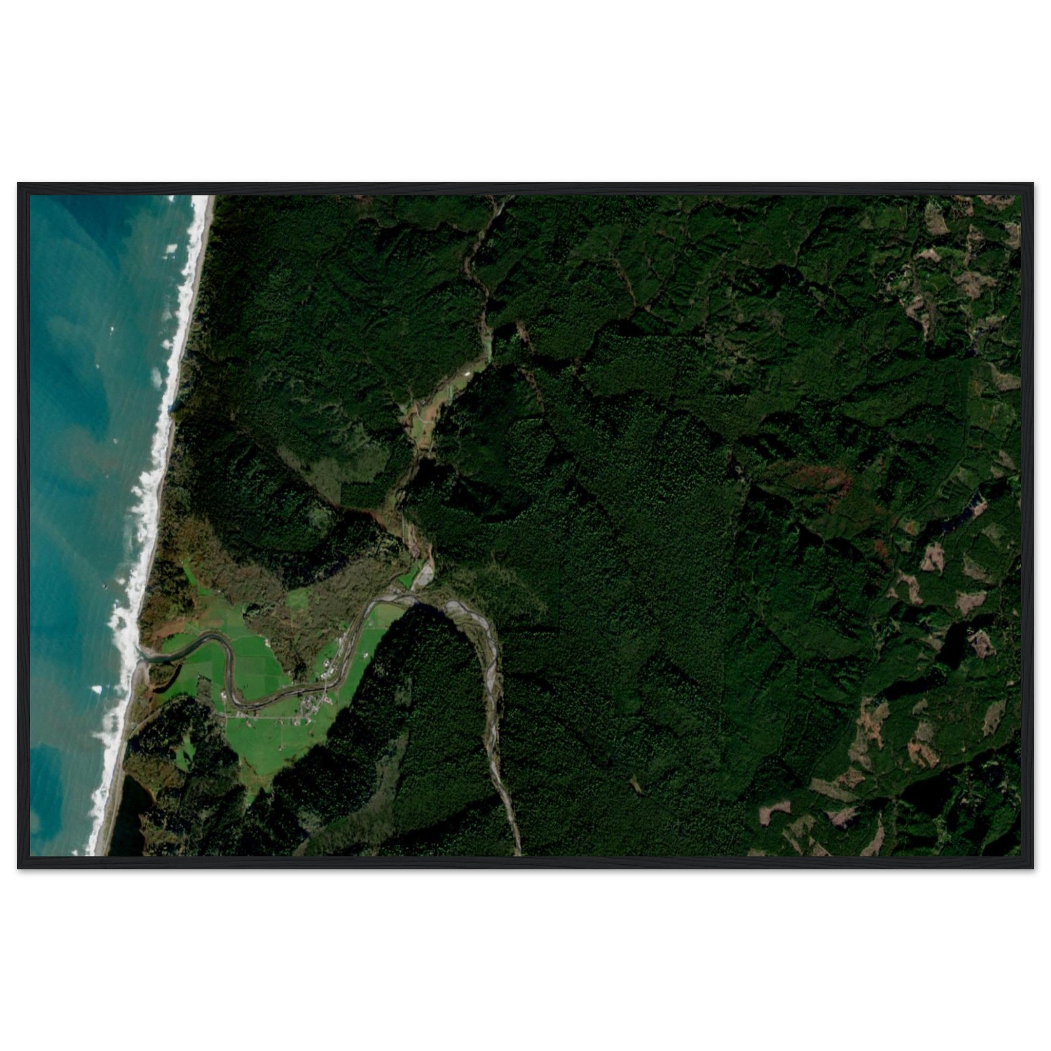 Redwood National Park Natural Earth Print - Ink And Atlas