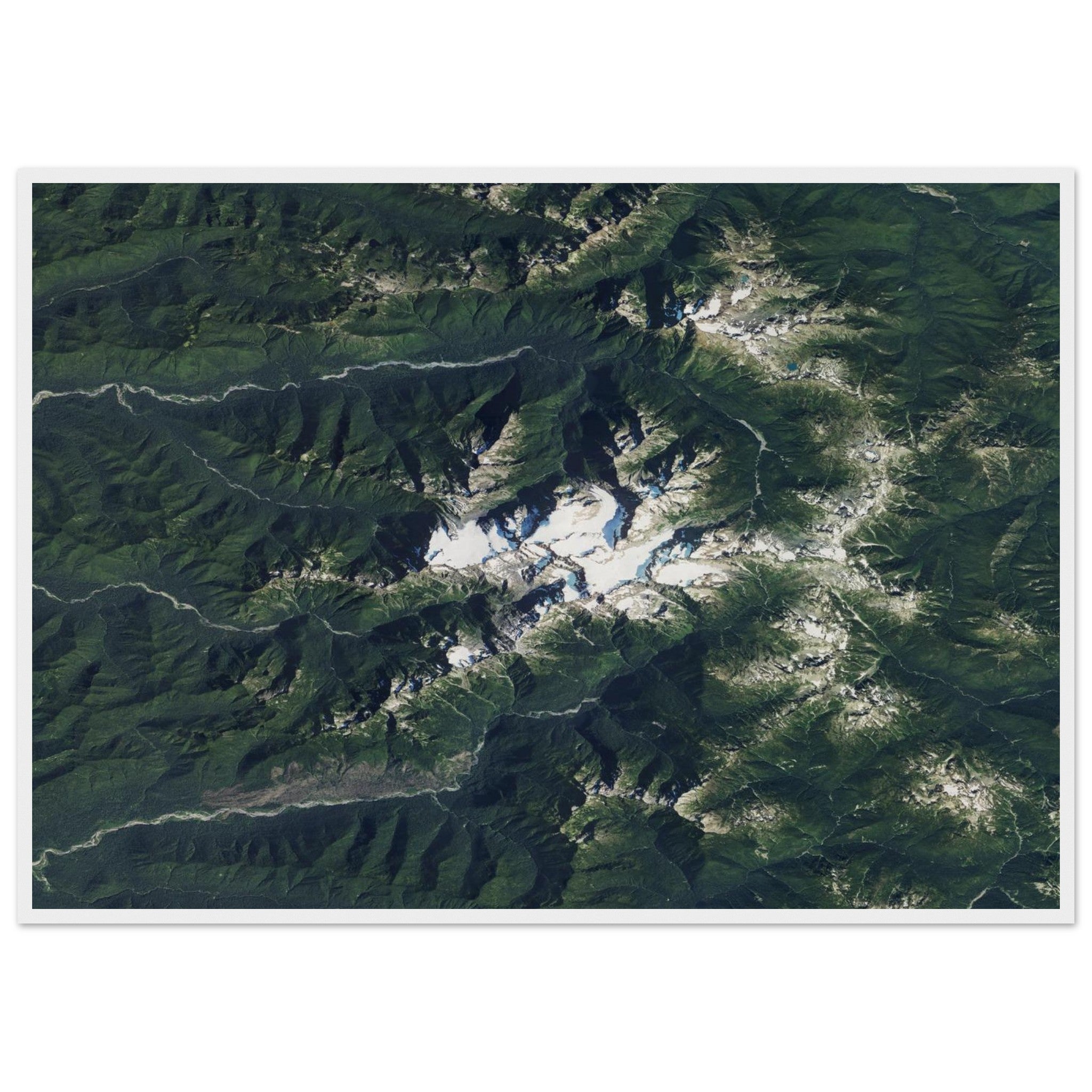 Olympic National Park Natural Earth Print - Ink And Atlas