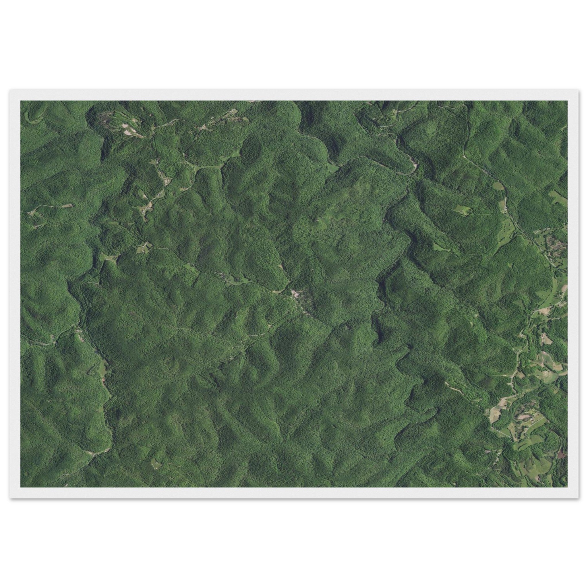 Wind Cave National Park Natural Earth Print - Ink And Atlas