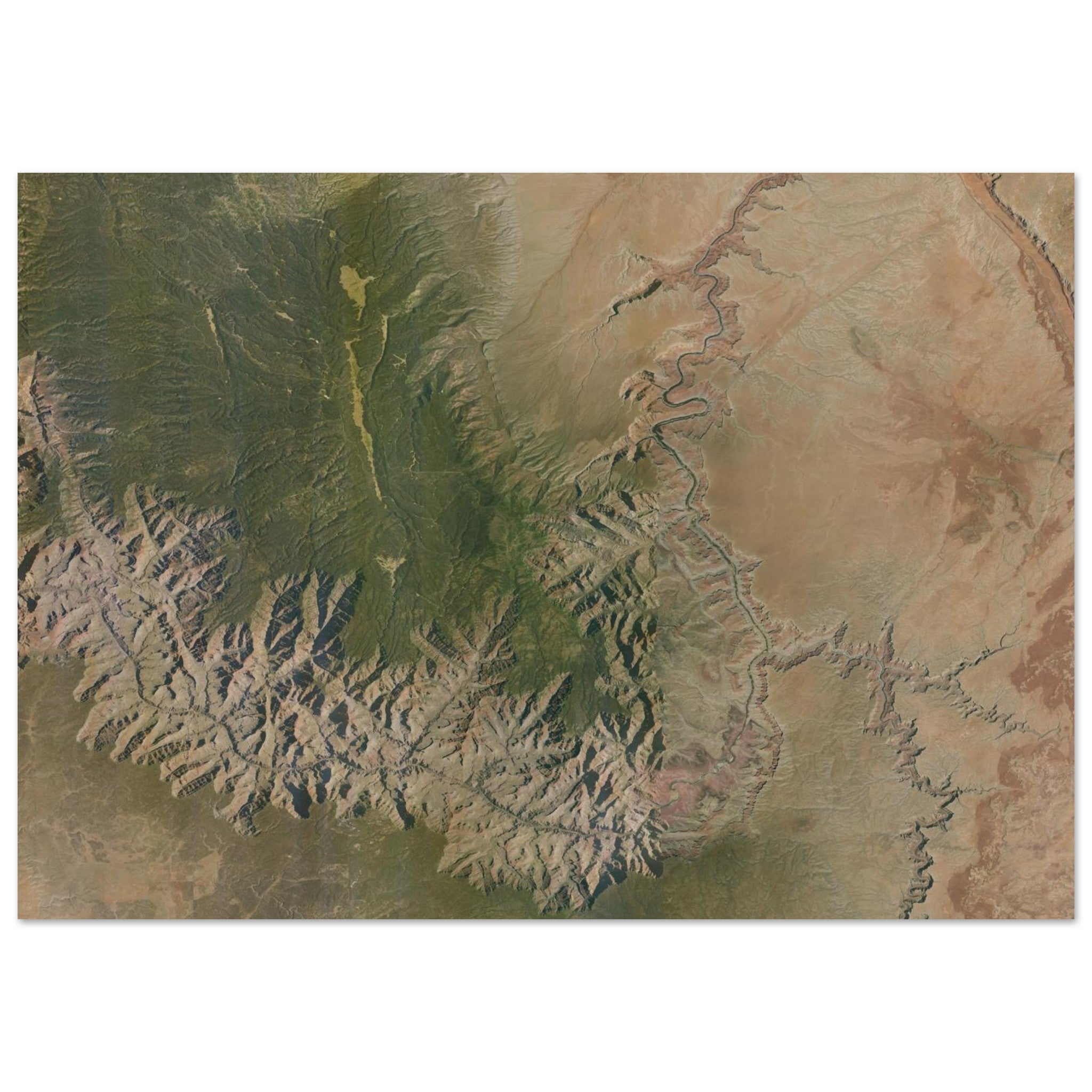 Grand Canyon National Park Natural Earth Print - Ink And Atlas