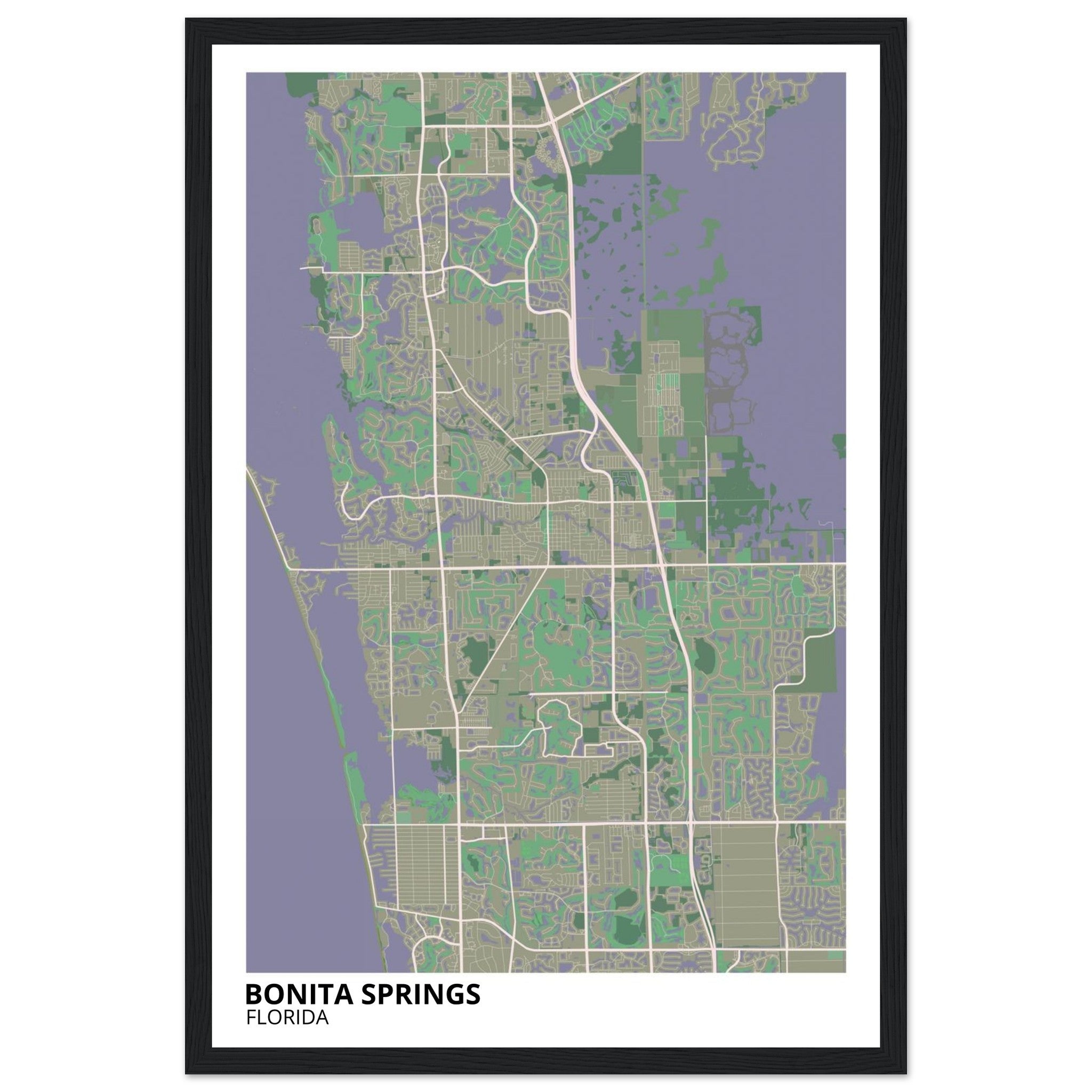 bonita springs map poster print