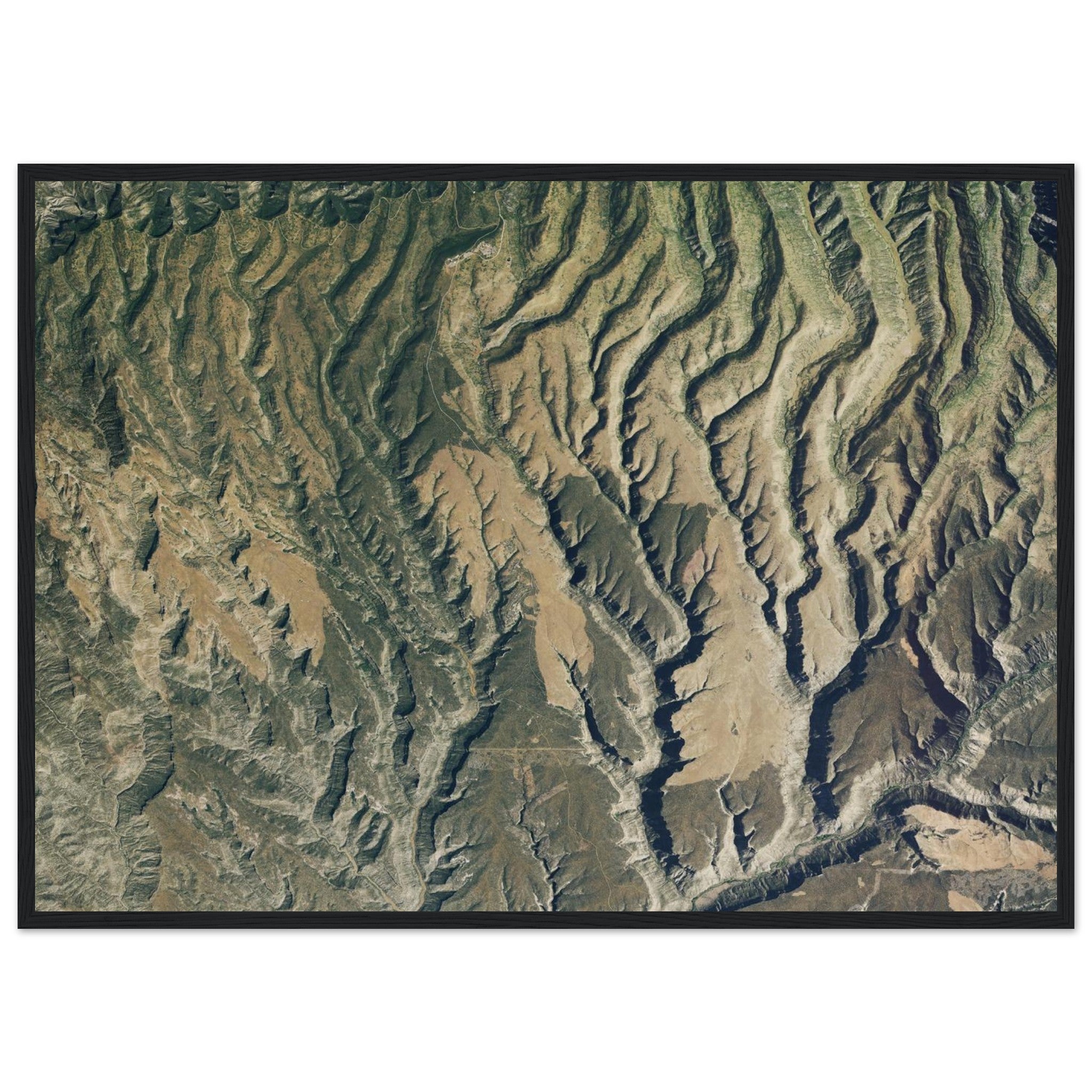 Mesa Verde National Park Natural Earth Print - Ink And Atlas