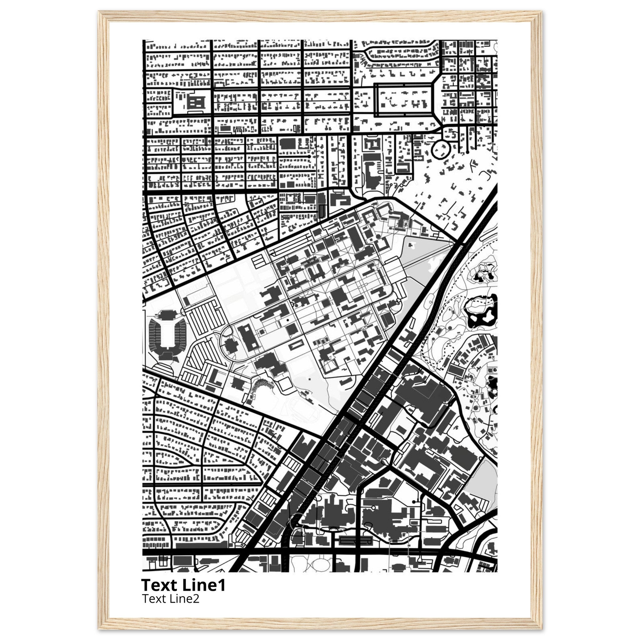 rice university modern campus map print
