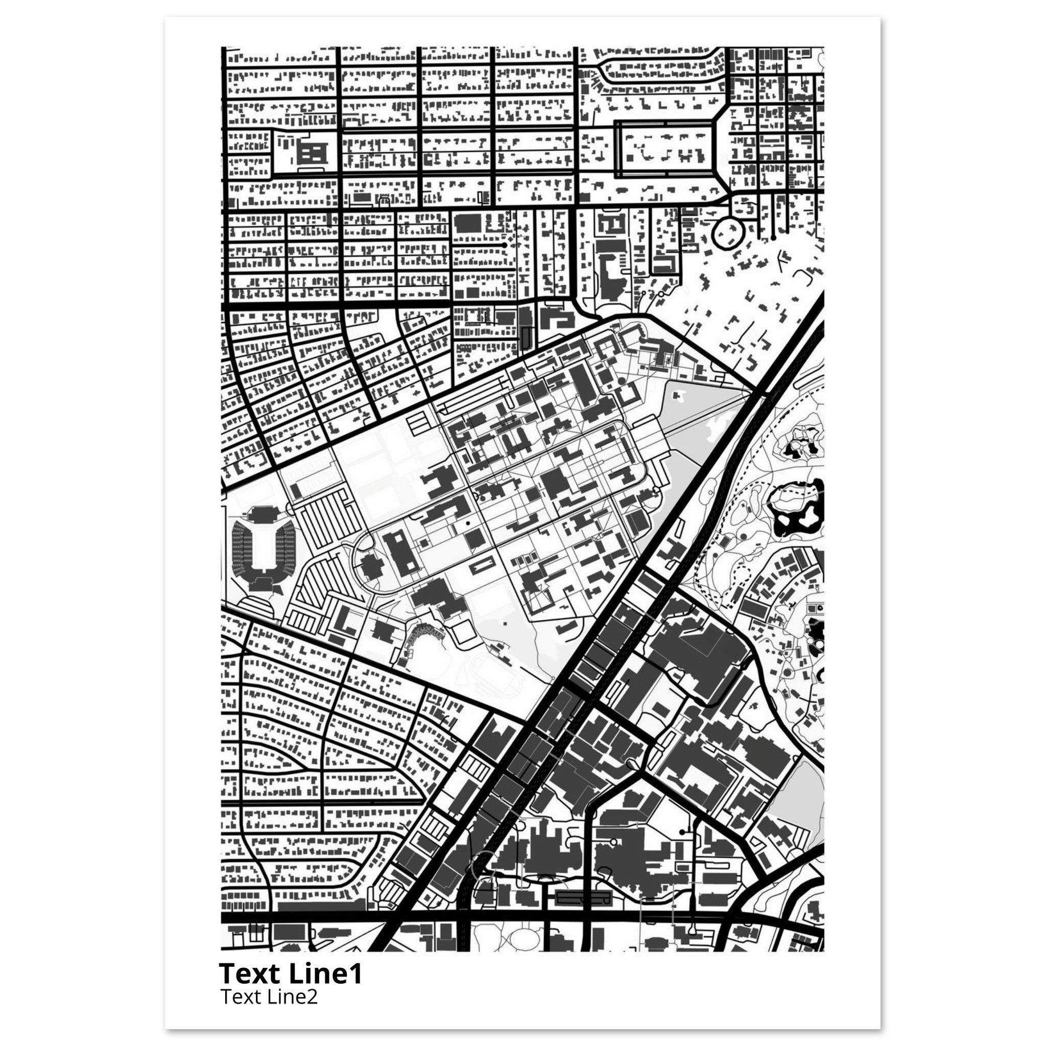 rice university modern campus map print